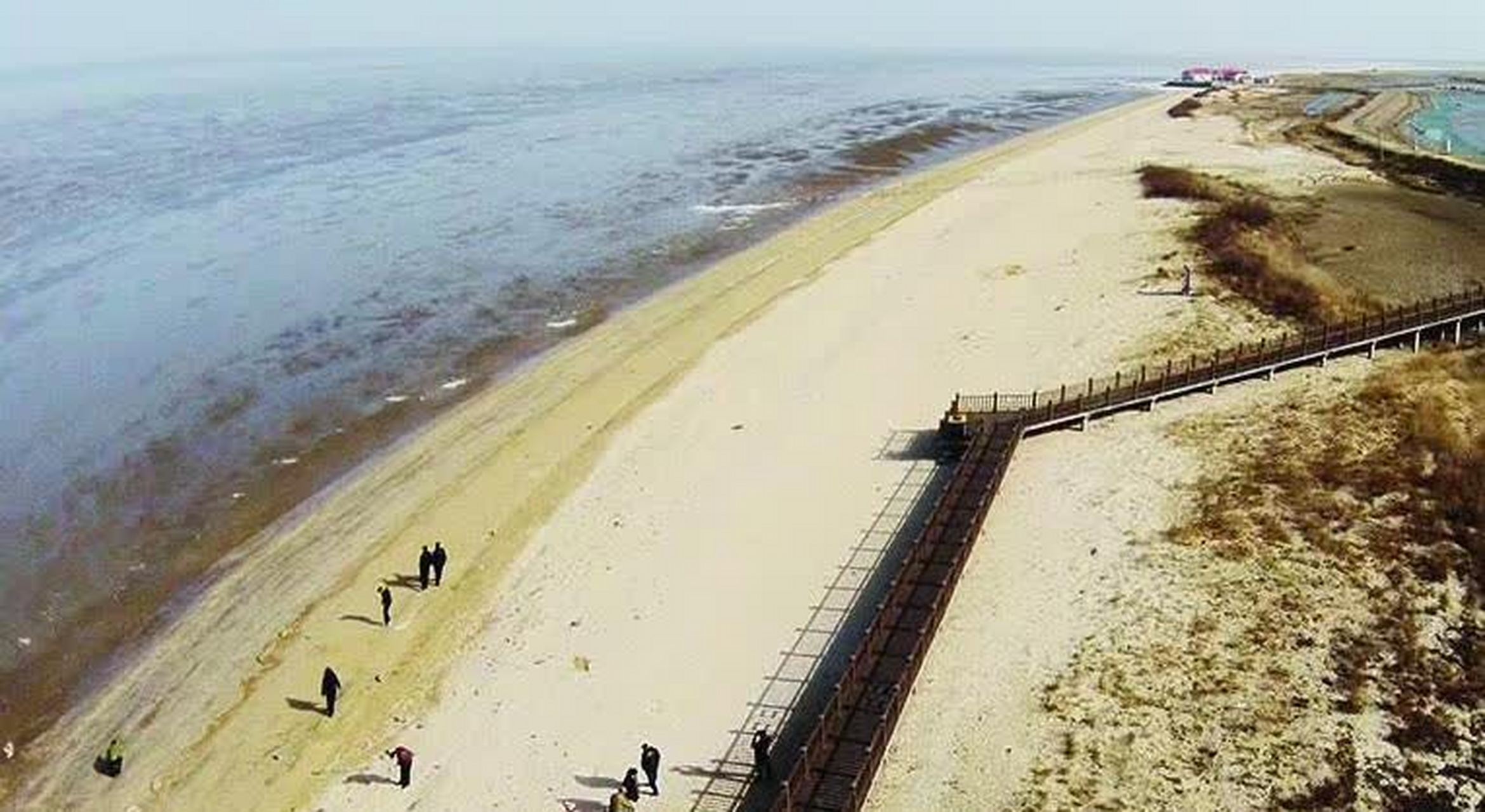 滨州无棣贝壳岛位于山东省最北端海岸线. 是珍贵的海洋自然遗迹.