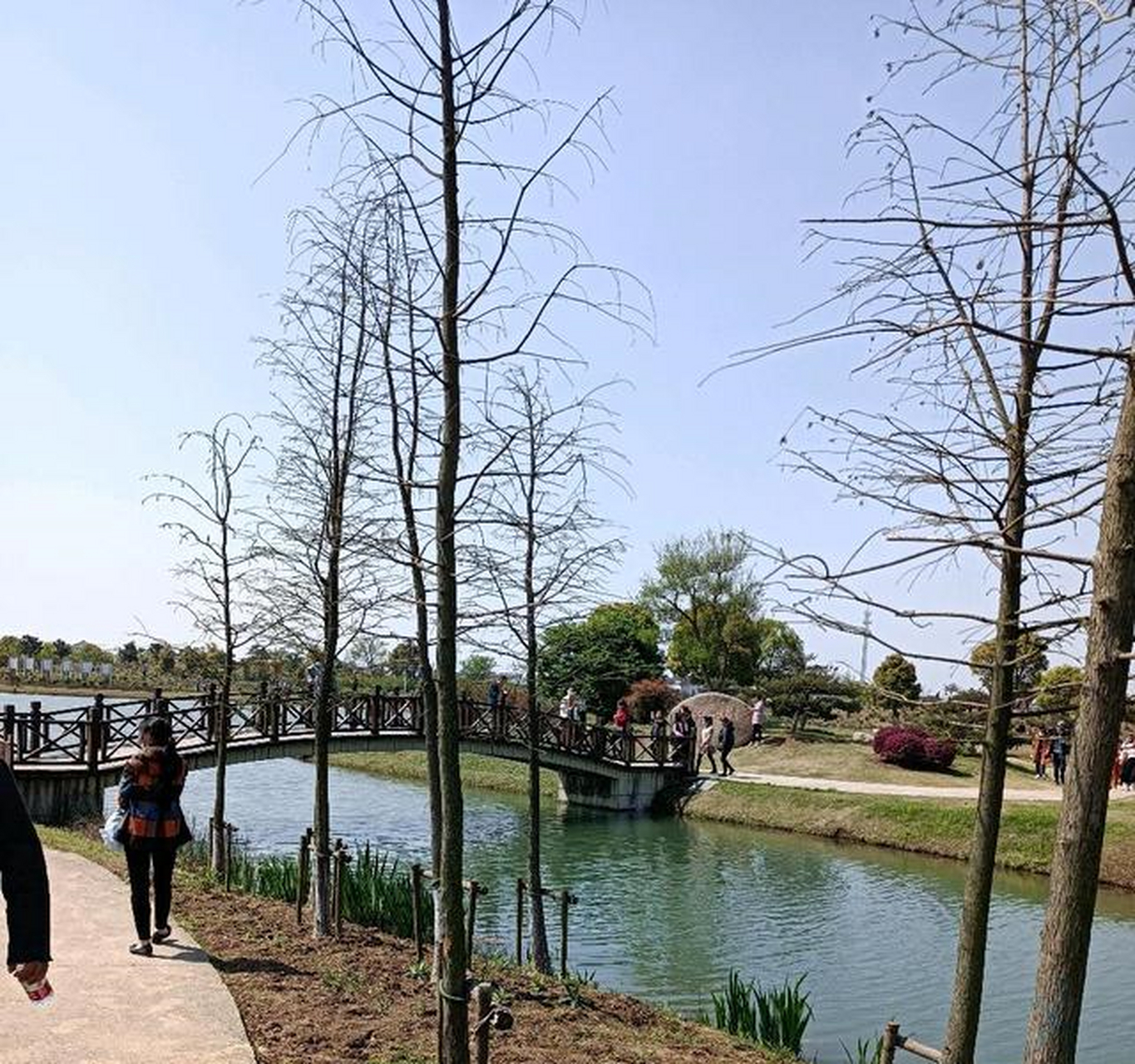 江阴顾山红豆村