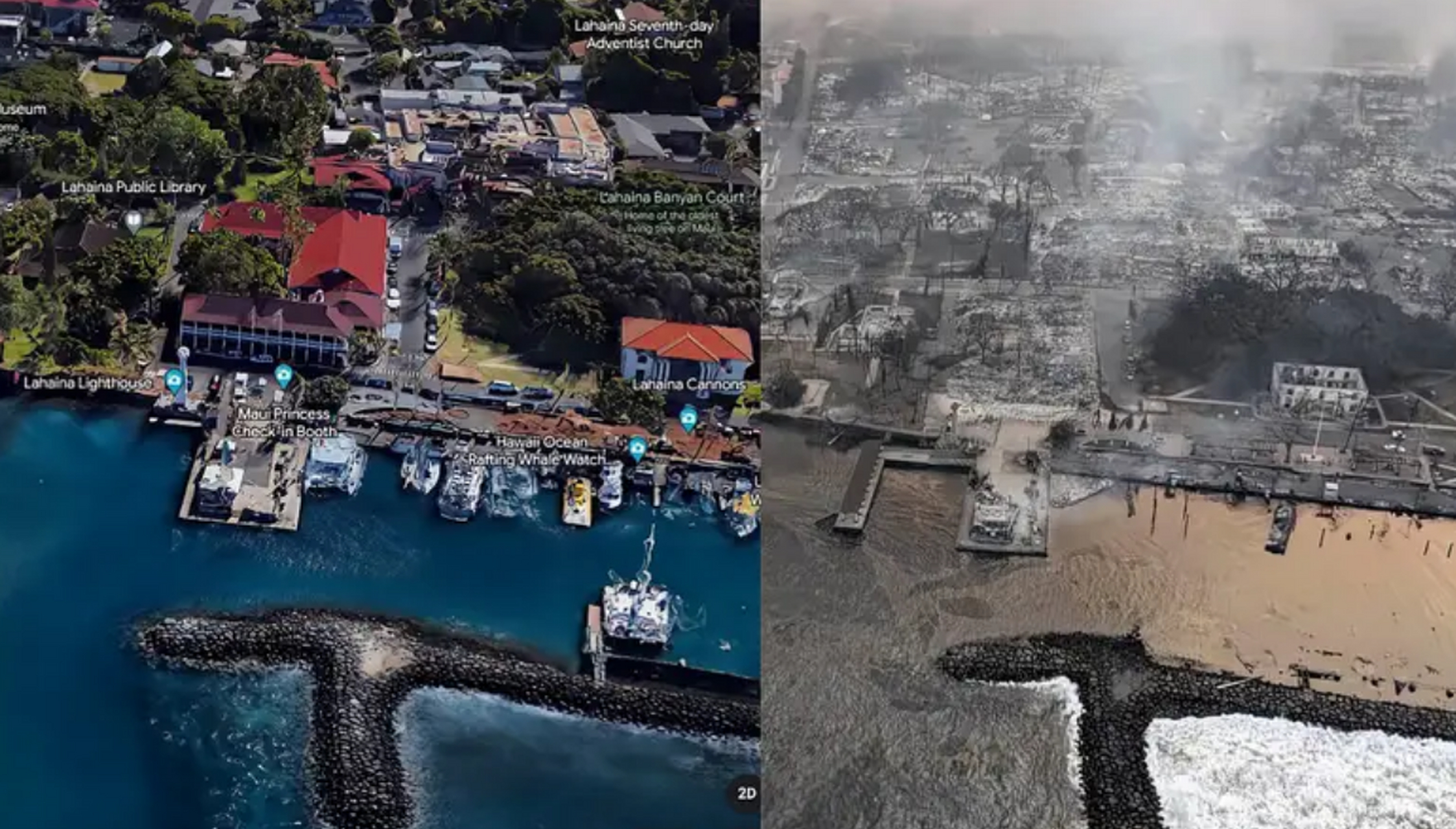 7个香港陆地面积那么大.