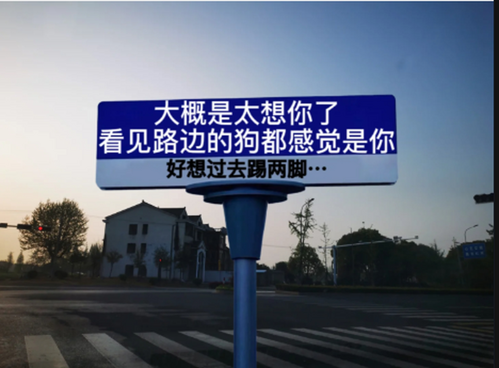 大概是太想你了,看见路边的狗都觉得是你.