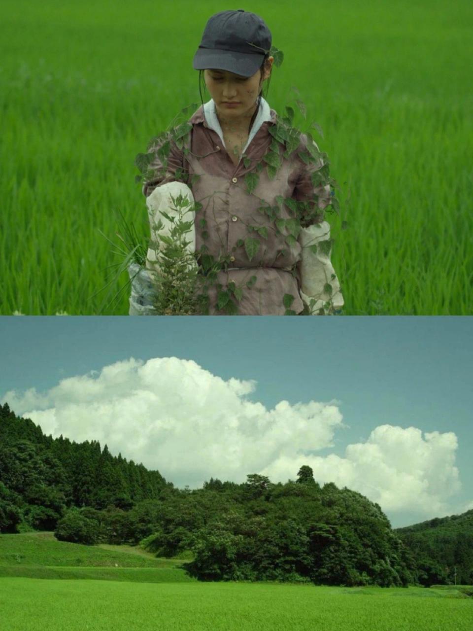 真的好治愈啊静下心来慢慢欣赏 剧名:《小森林》 影片呈现了季节的