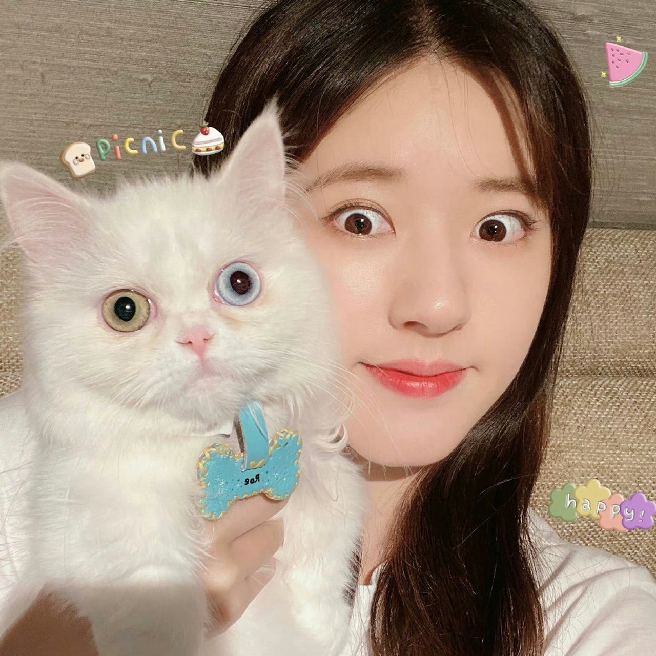 我自己也不太明白~ #赵露思与猫