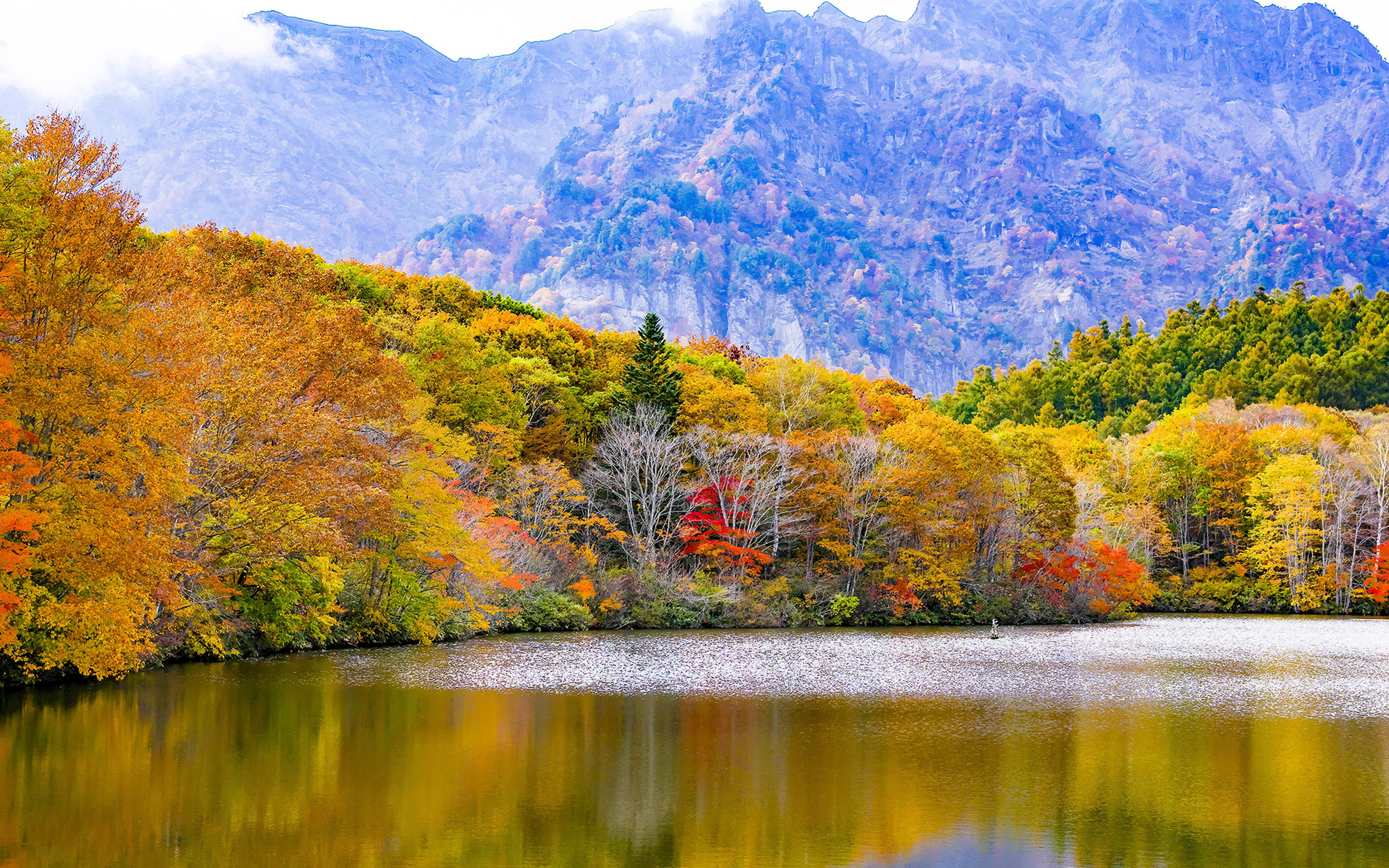 今日热议)爱米大厅房卡哪里有-热议分享 潍 3.6.1.6.8.6.9.