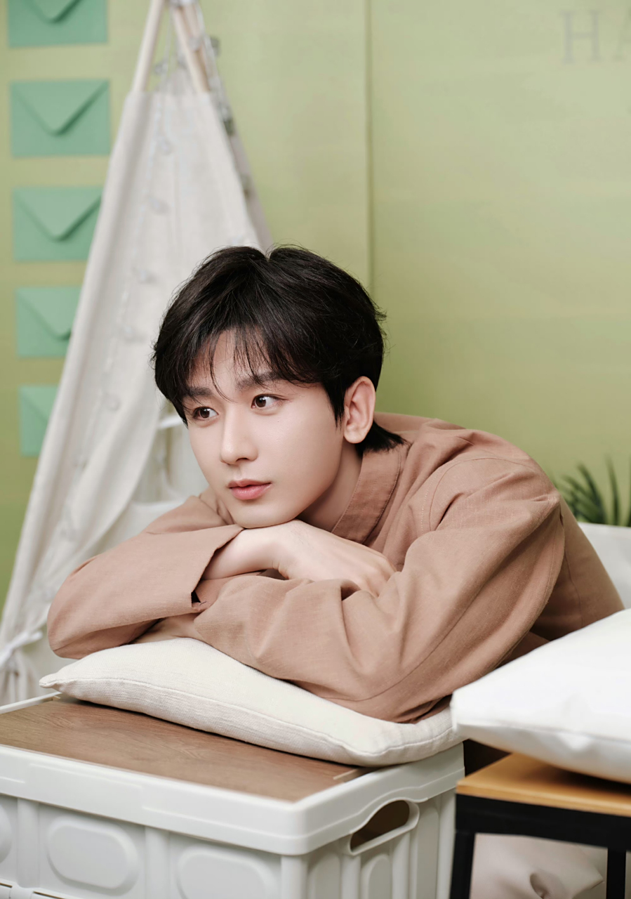 不仅是在电视剧《南风知我意》中,此前在与杨