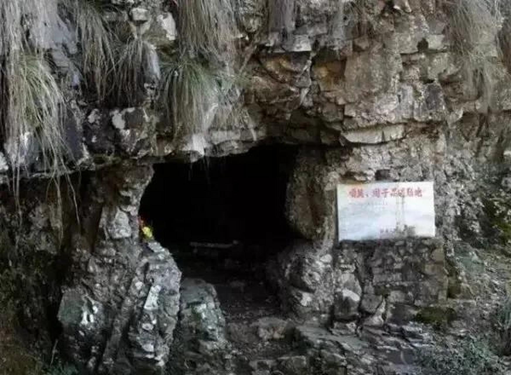 百家号星火计划# 项英的副官刘厚总,趁着项英,周子昆,黄诚熟睡之际