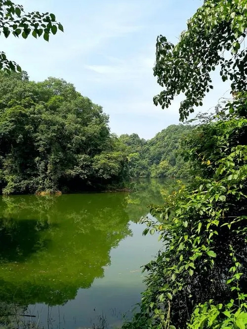 大邑烟霞湖风景区别墅图片