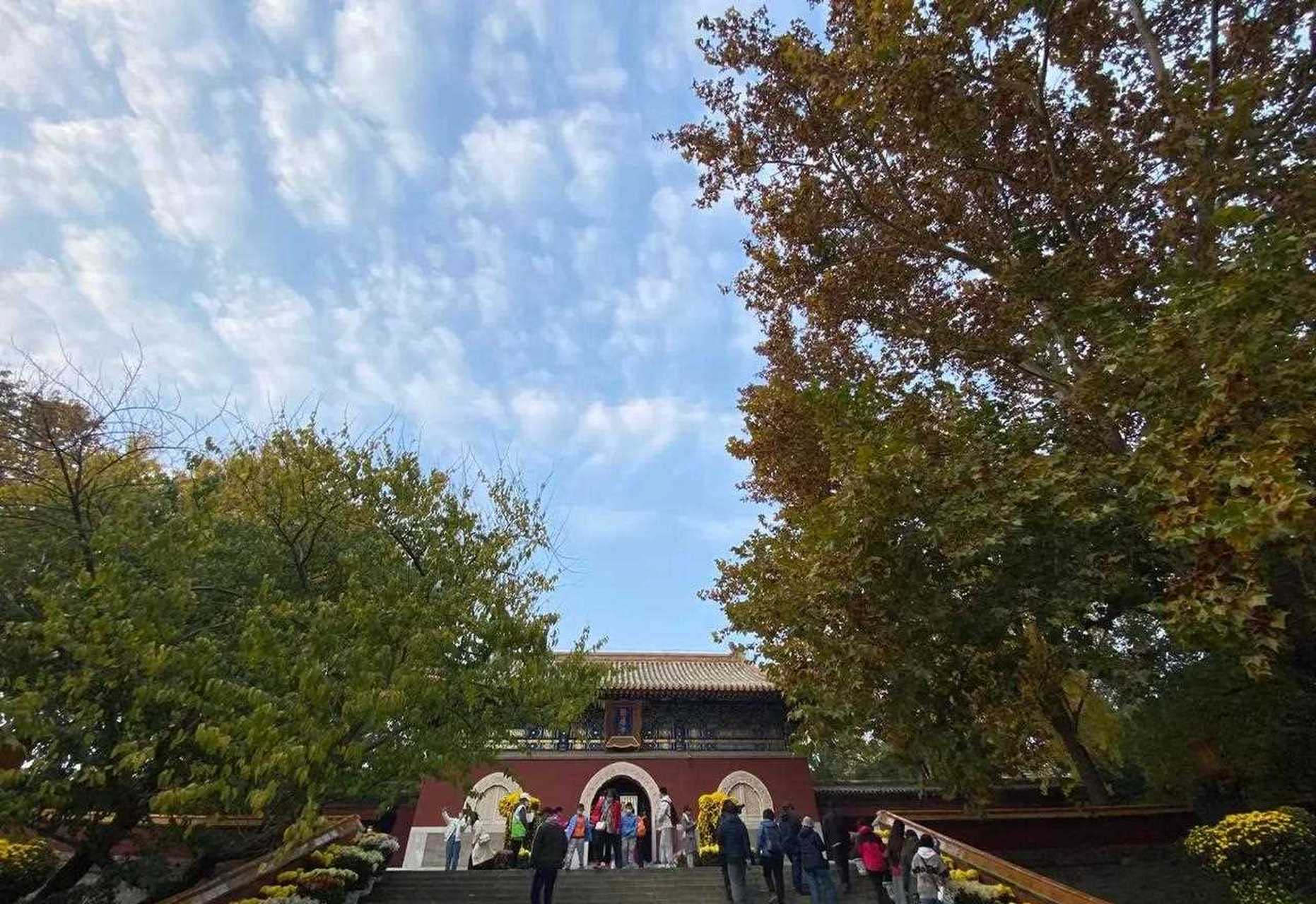 菊花 花中隱士也 她有松樹般的風格[親親] 梅花似的品行 友友們 和我