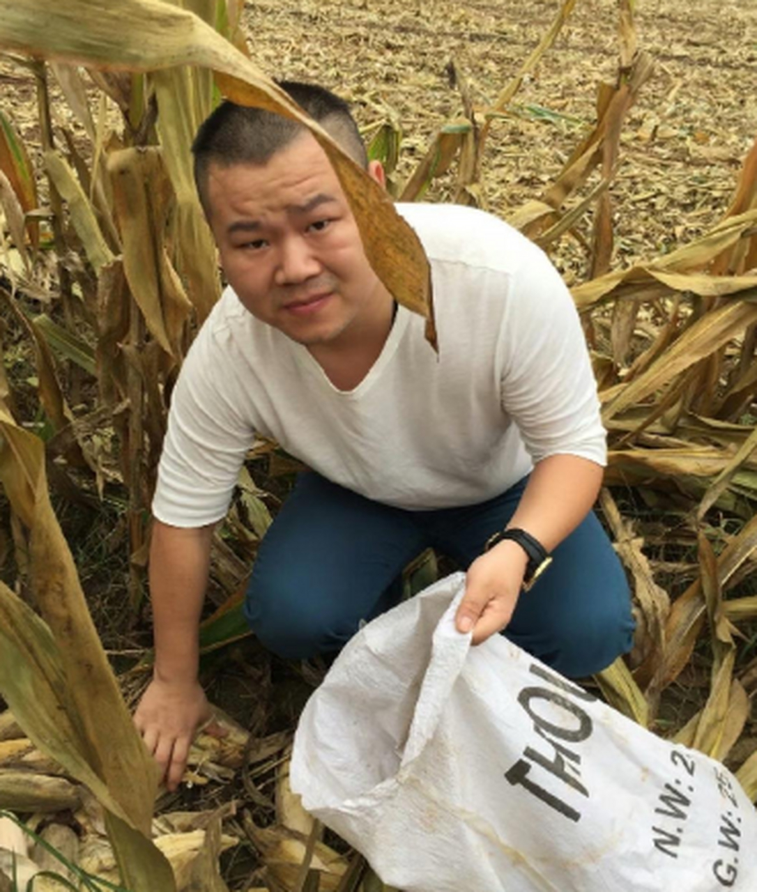 老照片:岳云鹏收苞米,真接地气呀[坏笑]