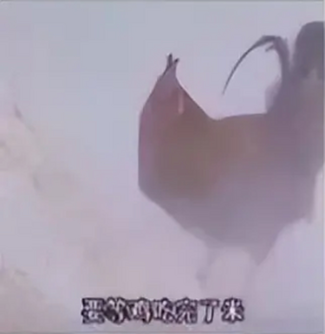 西游记中的鸡吃米,狗舔面,火烧铜锁,到底哪个更难实现?