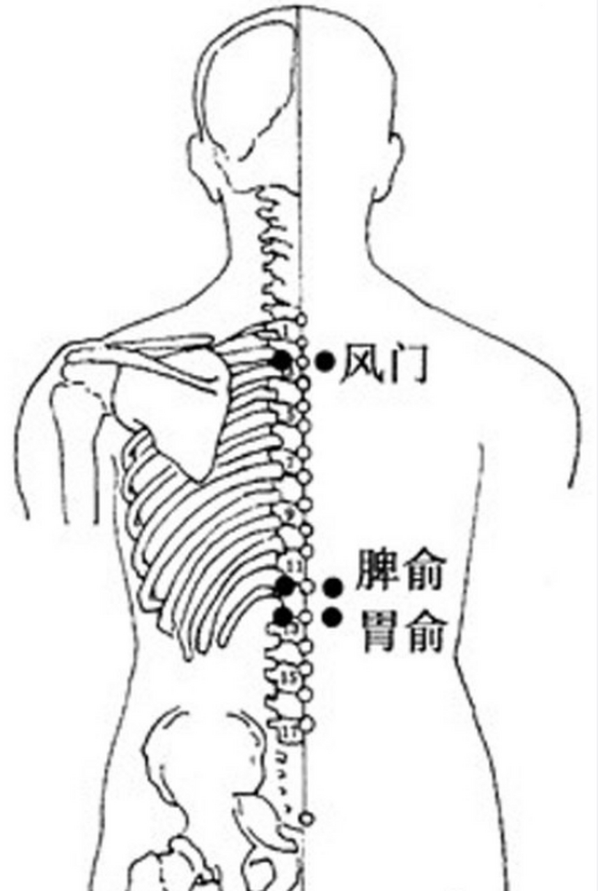 【胃俞穴能治消化不良】胃俞穴主要用于脾胃不和,胃失和降所致的各种