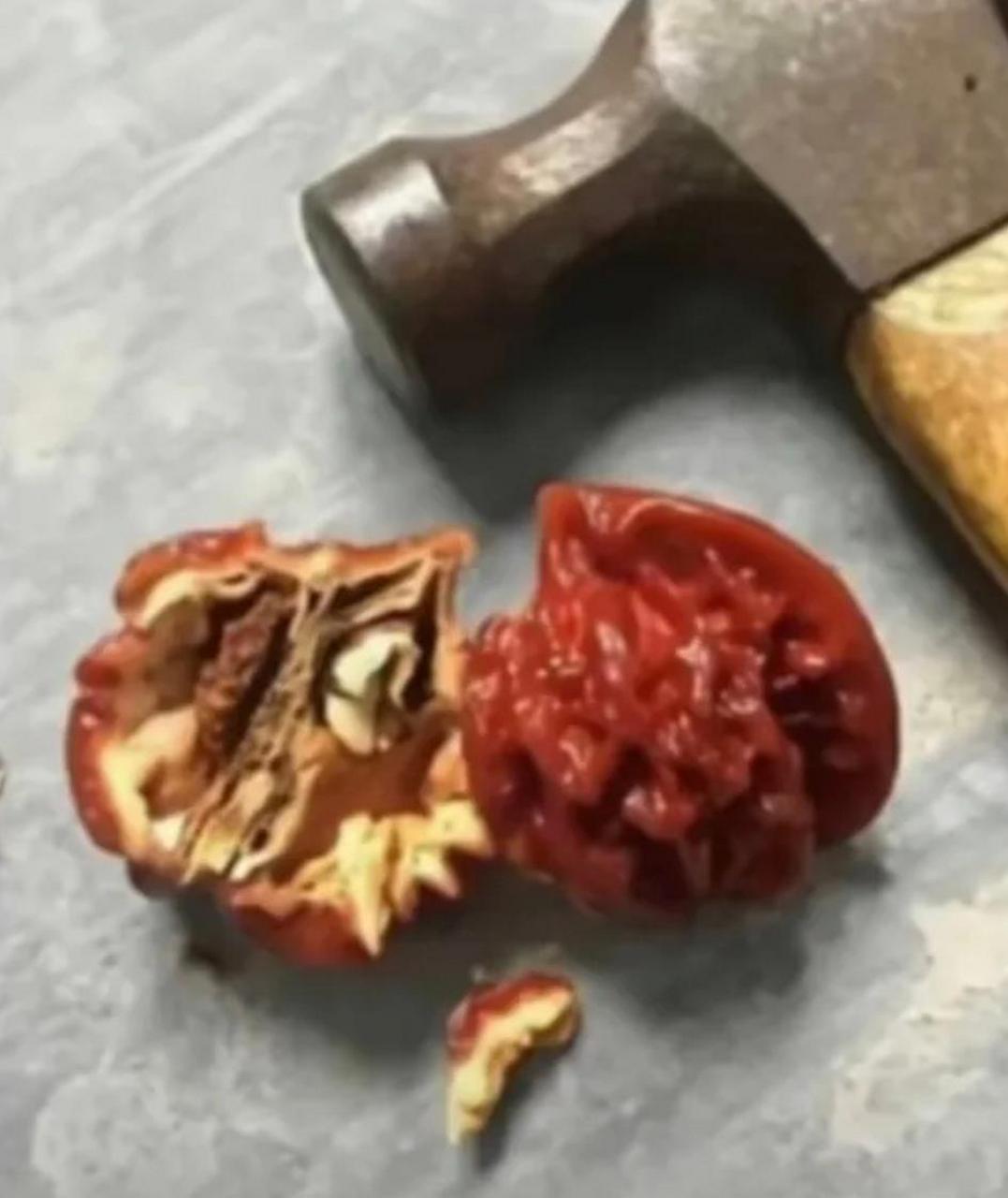 网友:在爷爷床头柜发现一个核桃,砸开后发现并不好吃,扔了得了.