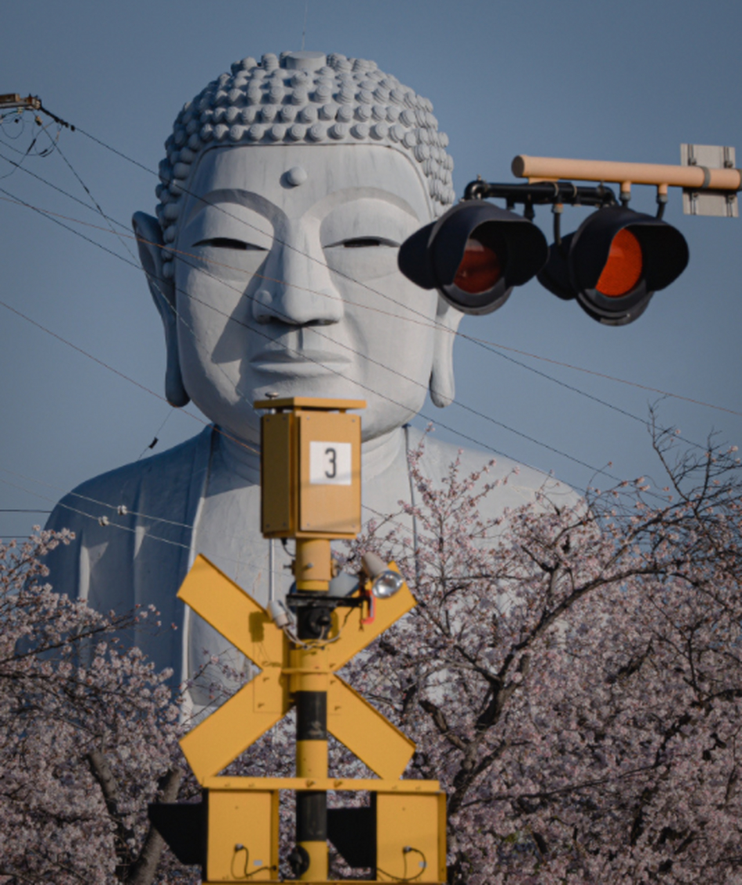 爱知县的墨镜大佛摘下墨镜后.