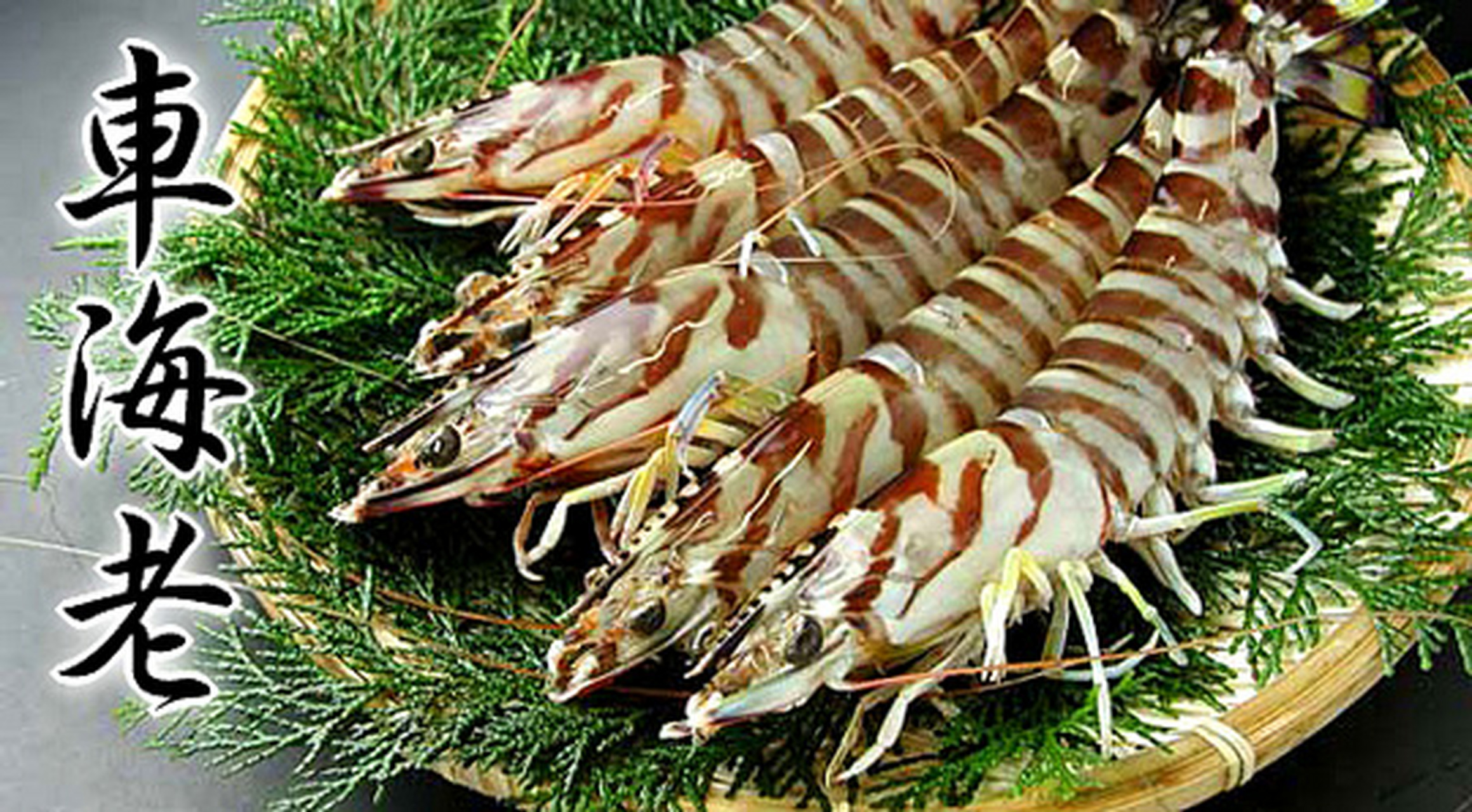 天妇罗的绝配:熊本天草车海老 车海老(日本对虾)就是常说的斑节虾,其