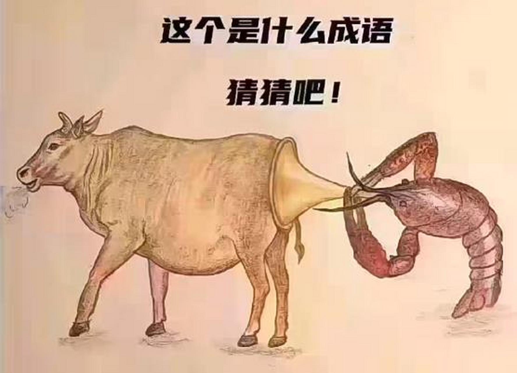 看图猜成语,这个图是什么成语呢?