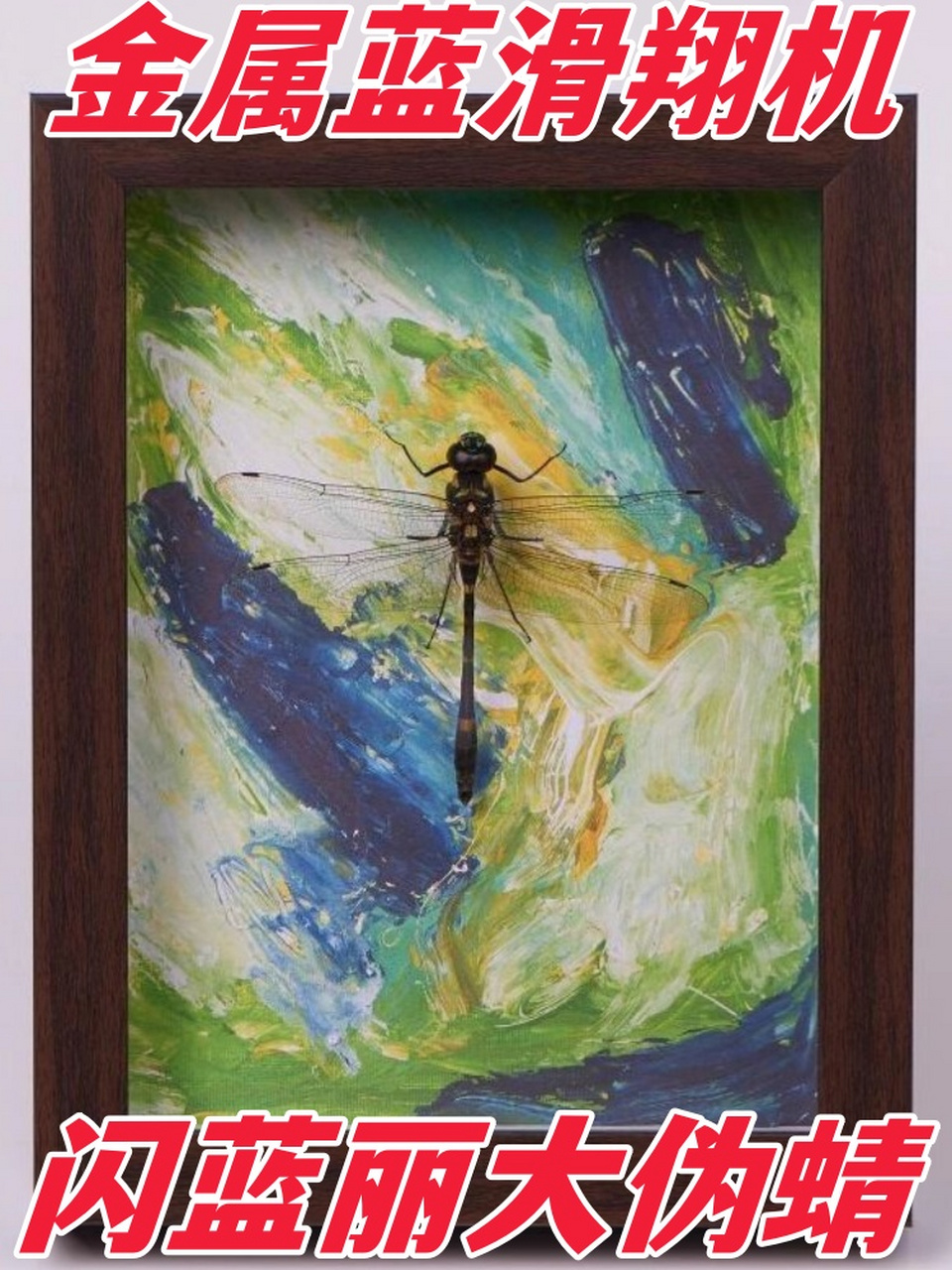 金属蓝滑翔机——闪蓝丽大伪蜻  闪蓝丽大伪蜻,以其独特的金属蓝色
