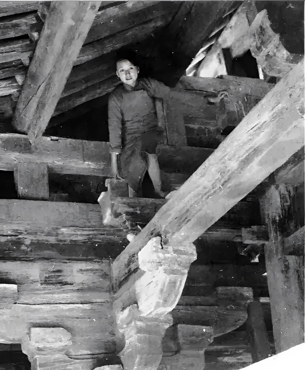 有一次,杨澜指着林徽因踩梁的照片,疑惑地问林徽因的儿子梁从诫: "你