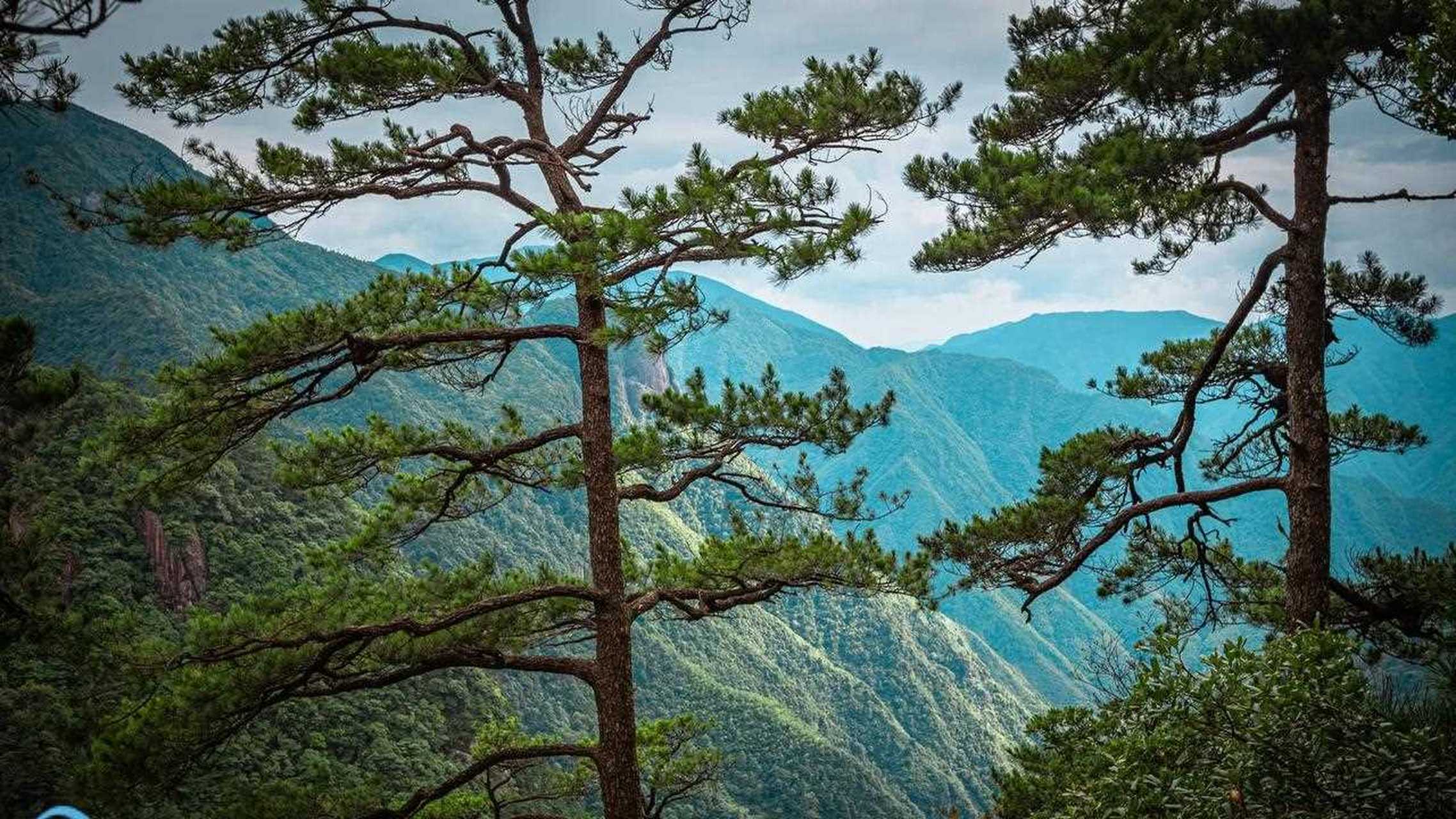 丽水龙泉山风景区图片