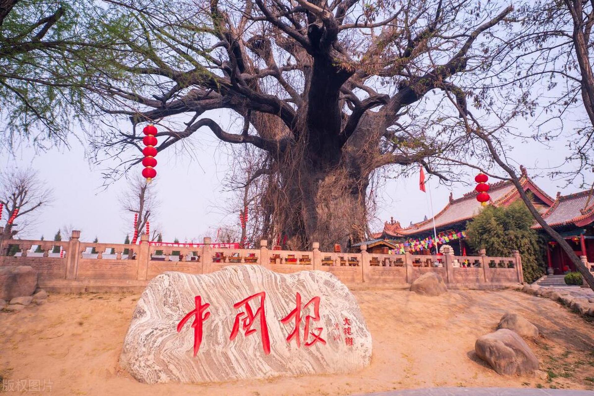 洪洞大槐树移民起源于明朝洪武年间,旨在平衡人口和发展经济.