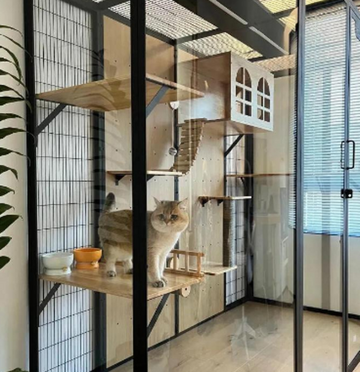 给猫咪建造的别墅你看看怎么样,是不是很高端大气呢