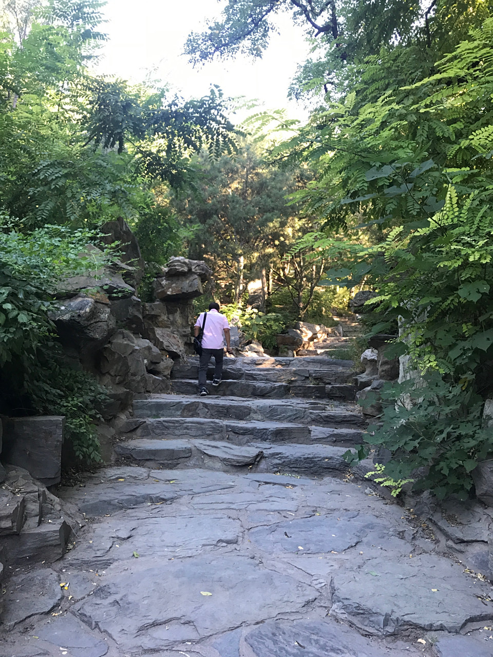 北京东单公园,位于北京崇文门内大街9号,特别适合春日休闲打卡; 它有