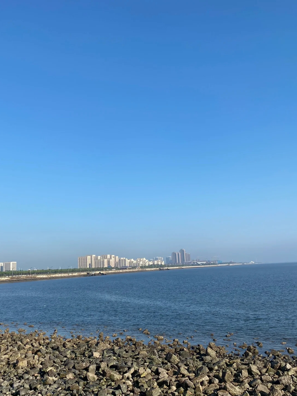 1号天津东疆亲海公园附近赶海   早上7:30出发,8:30到达 玩了3个小时