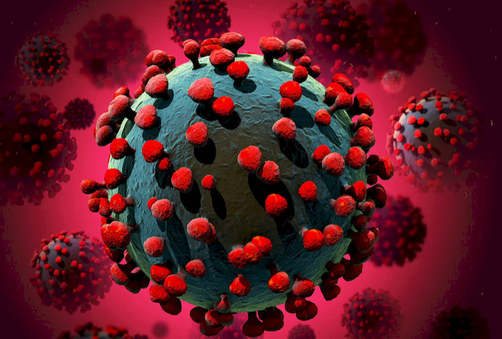  现在的病毒是什么样子的呢(现在的病毒是什么样子的呢视频)