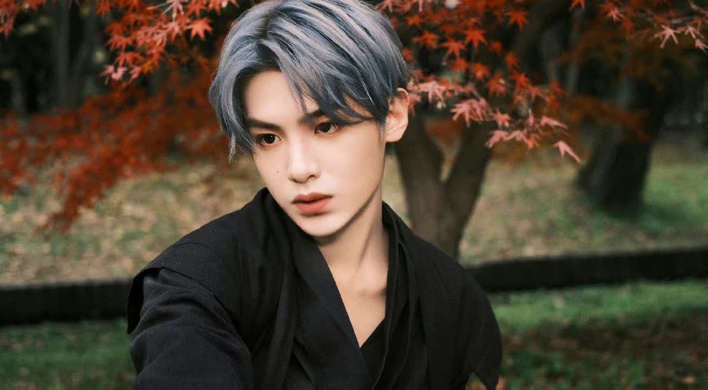 黄明昊一身古黑长袍,深蓝色的头发,在红枫的衬托下显得格外抢眼,仿佛