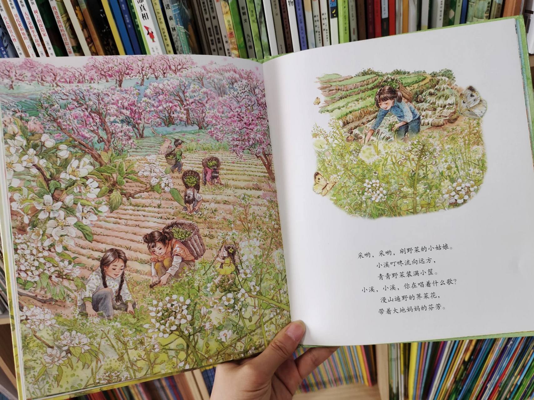 绘本推荐《迎春花开了》 很久很久以前,花神召集所有的花草,商量花在