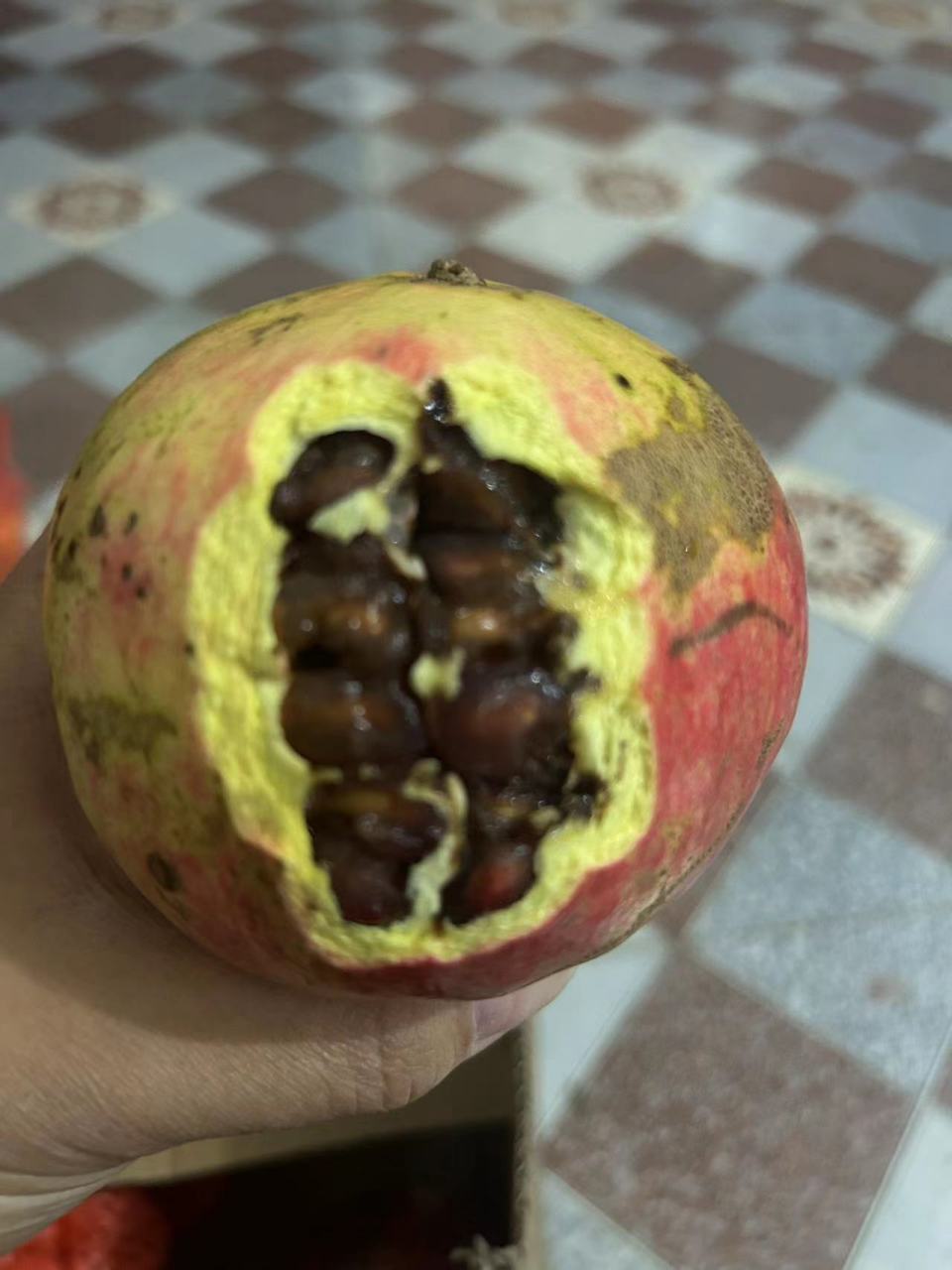 闹呢,网上买的石榴,一箱七个,六个都是坏了,还有一颗都长虫子了.