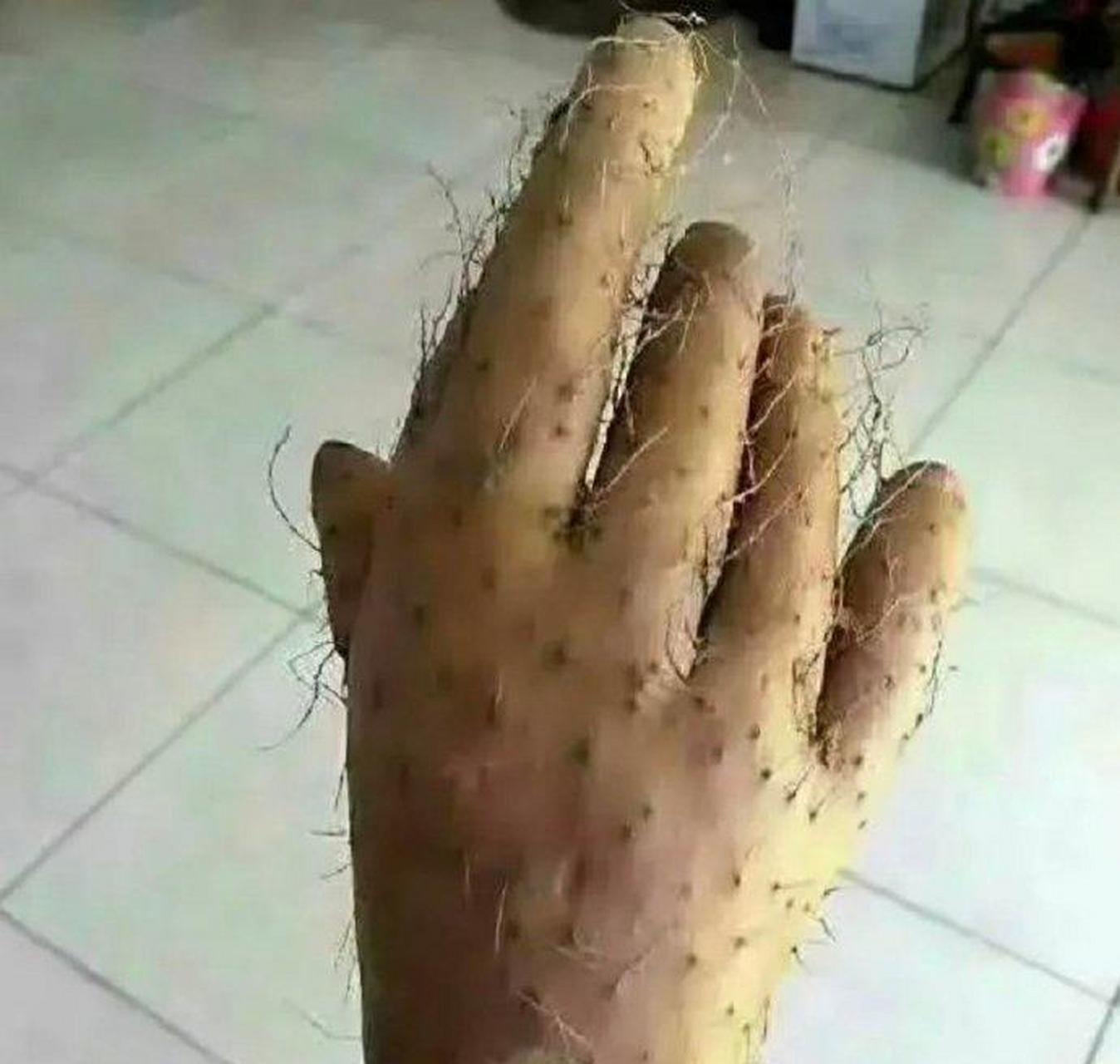 别人总说我毛手毛脚的,有吗?