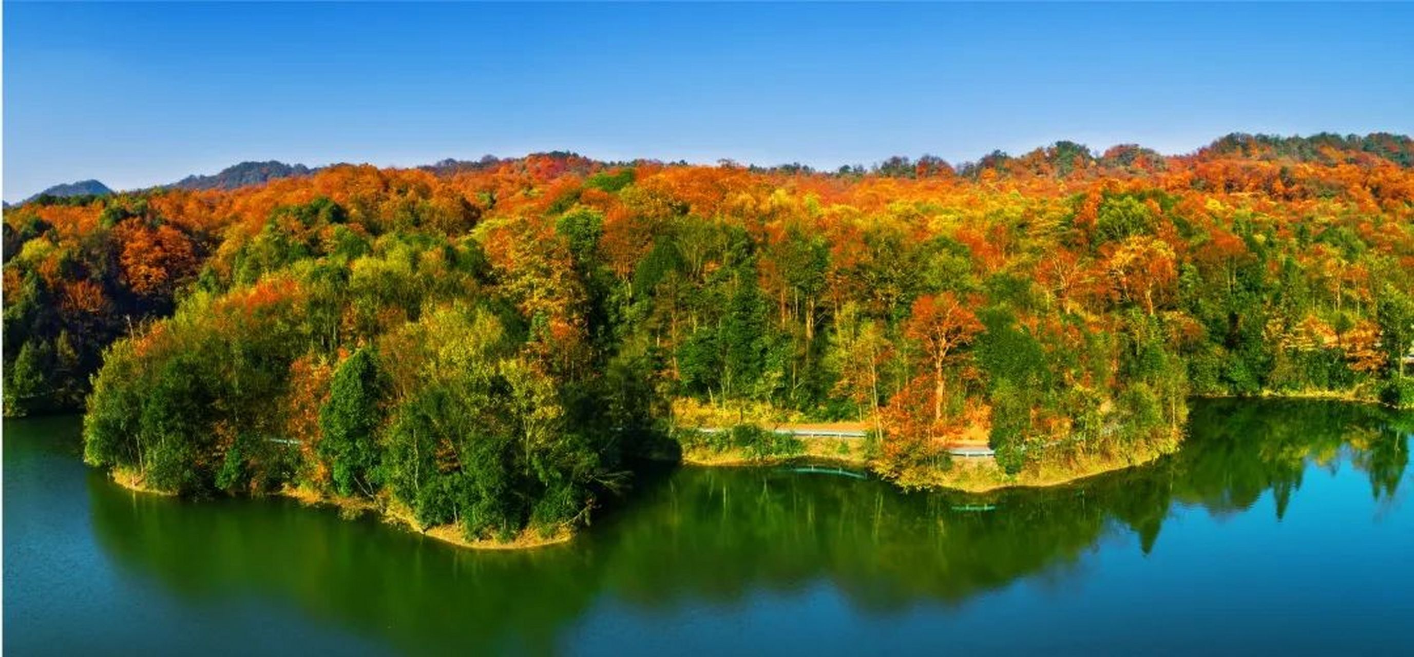 【贵州观鸟胜地】位于贵州省遵义市绥阳县北部的贵州宽阔水自然保护区