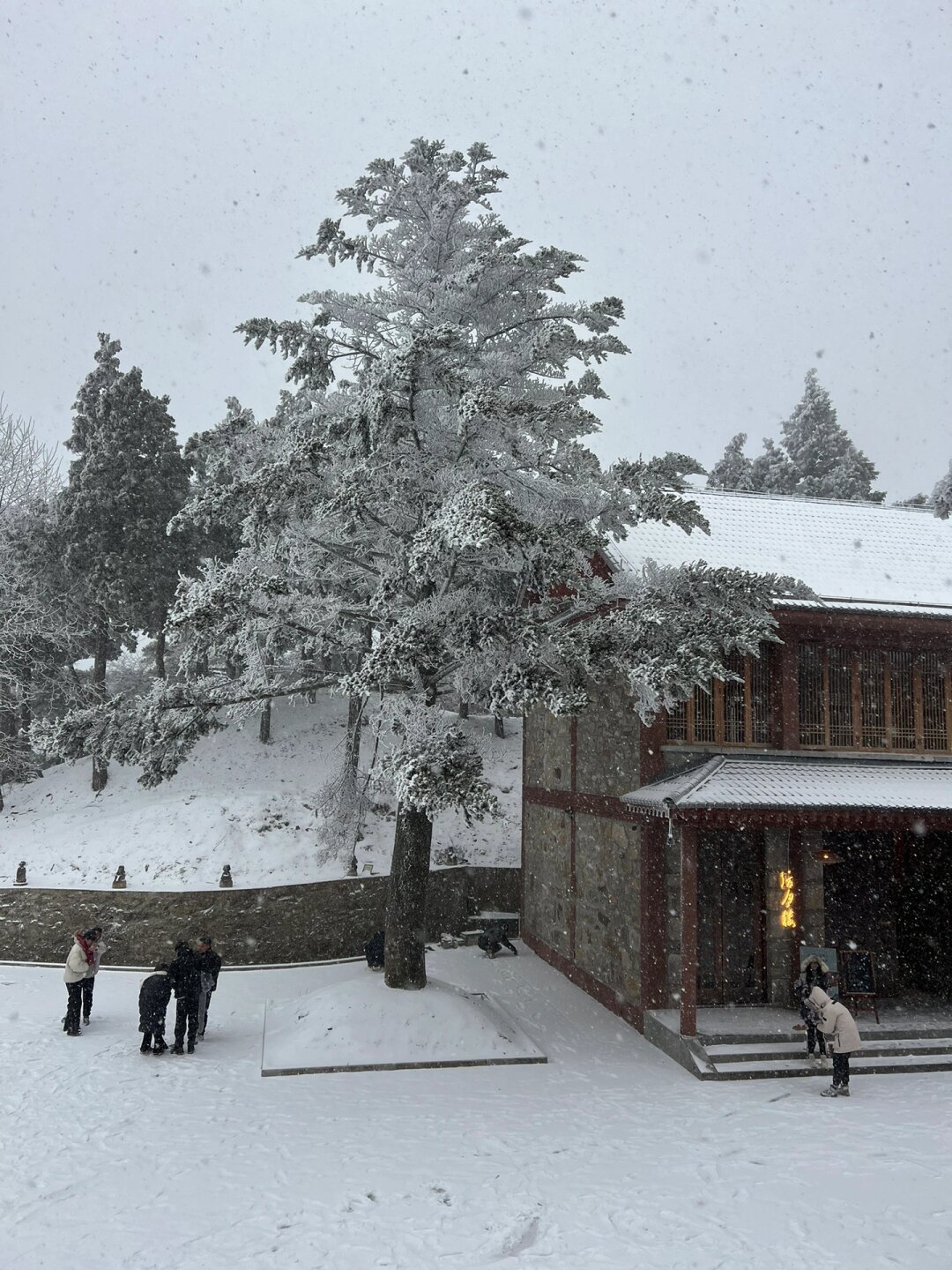 冬天的庐山 值得去一万次 坐标南昌,想去看雪,庐山是最低成本且不用