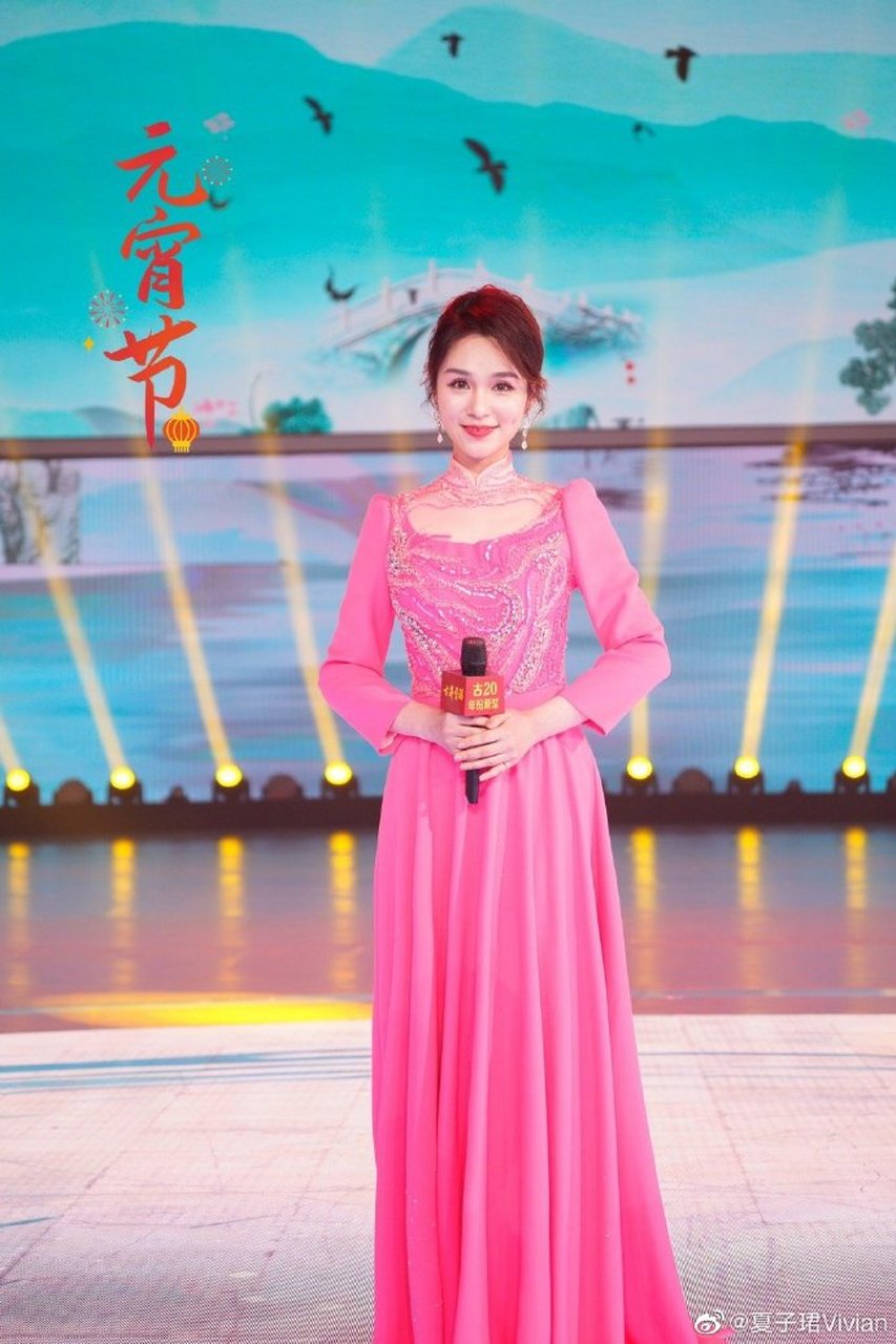 安徽卫视主持人夏子珺