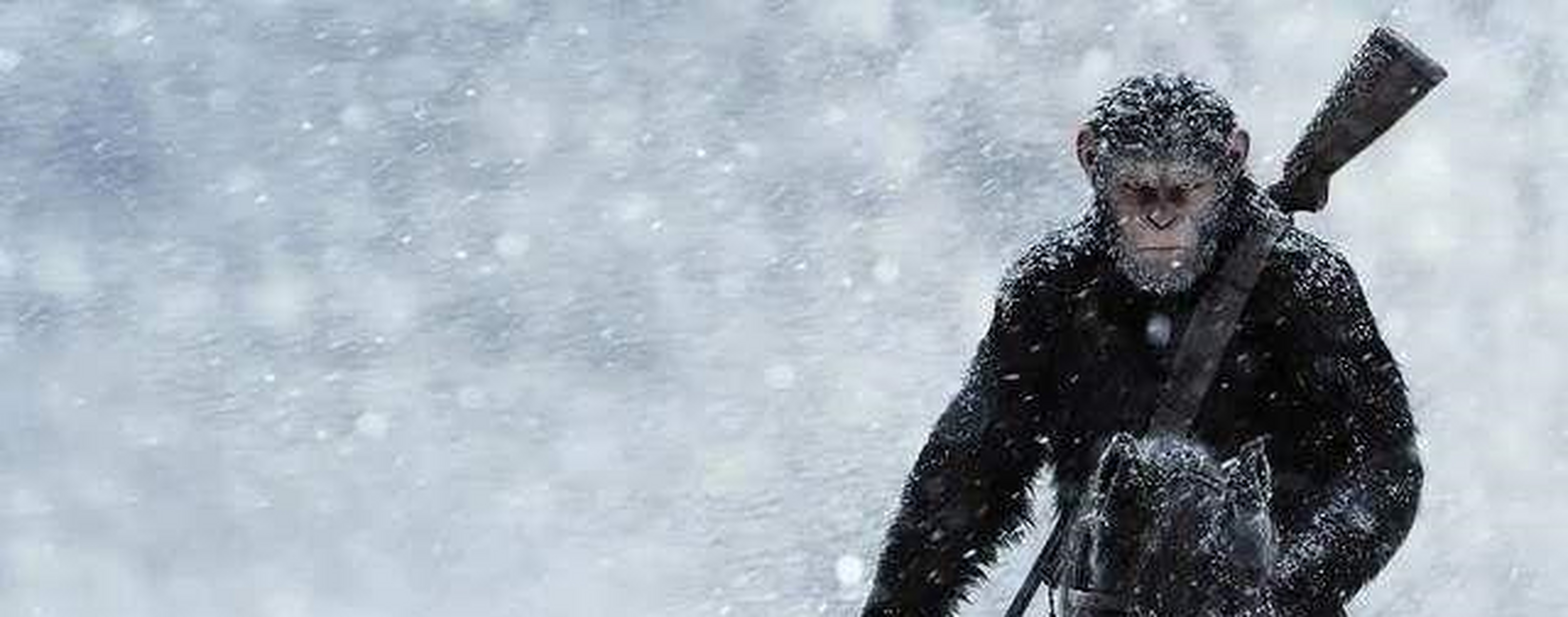 1980年,四川大巴山地区有一个叫朱仕强的狠人,常年自称朱元璋后代,并