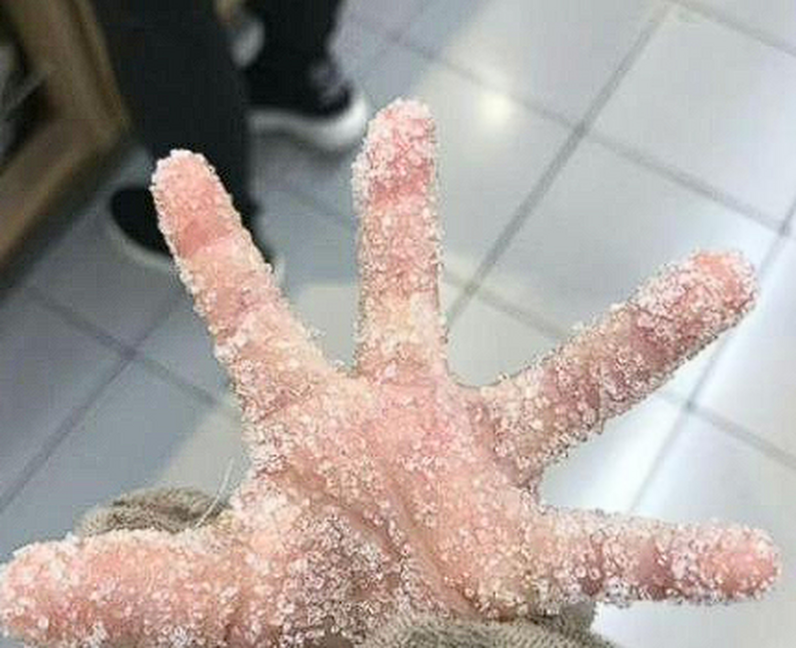 挑战世界最快的"手"