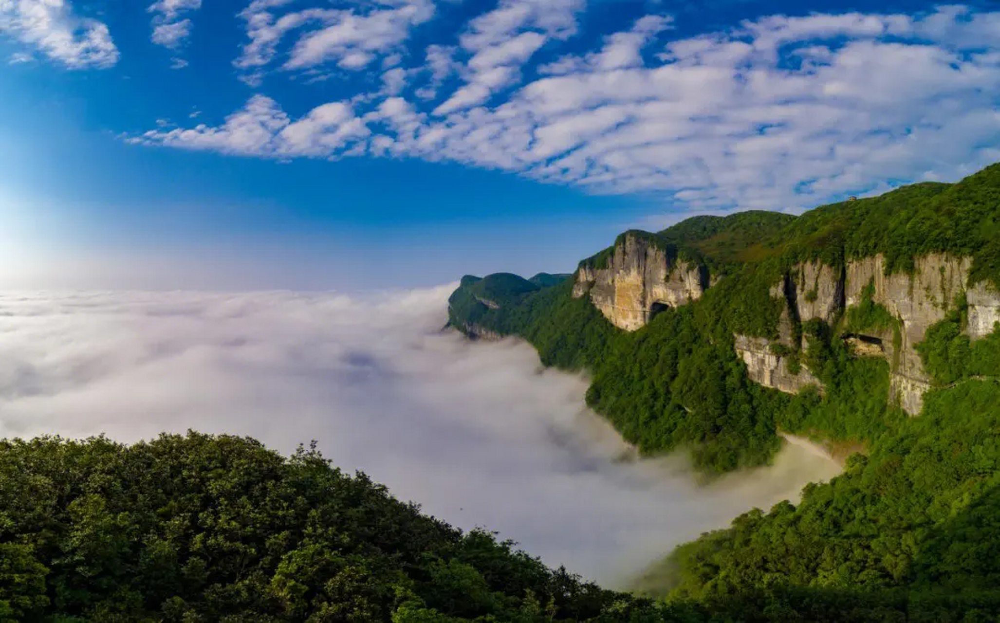 南方如初佛地,巴蜀第一名山   重庆金佛山:位于南川区南部,是世界自然