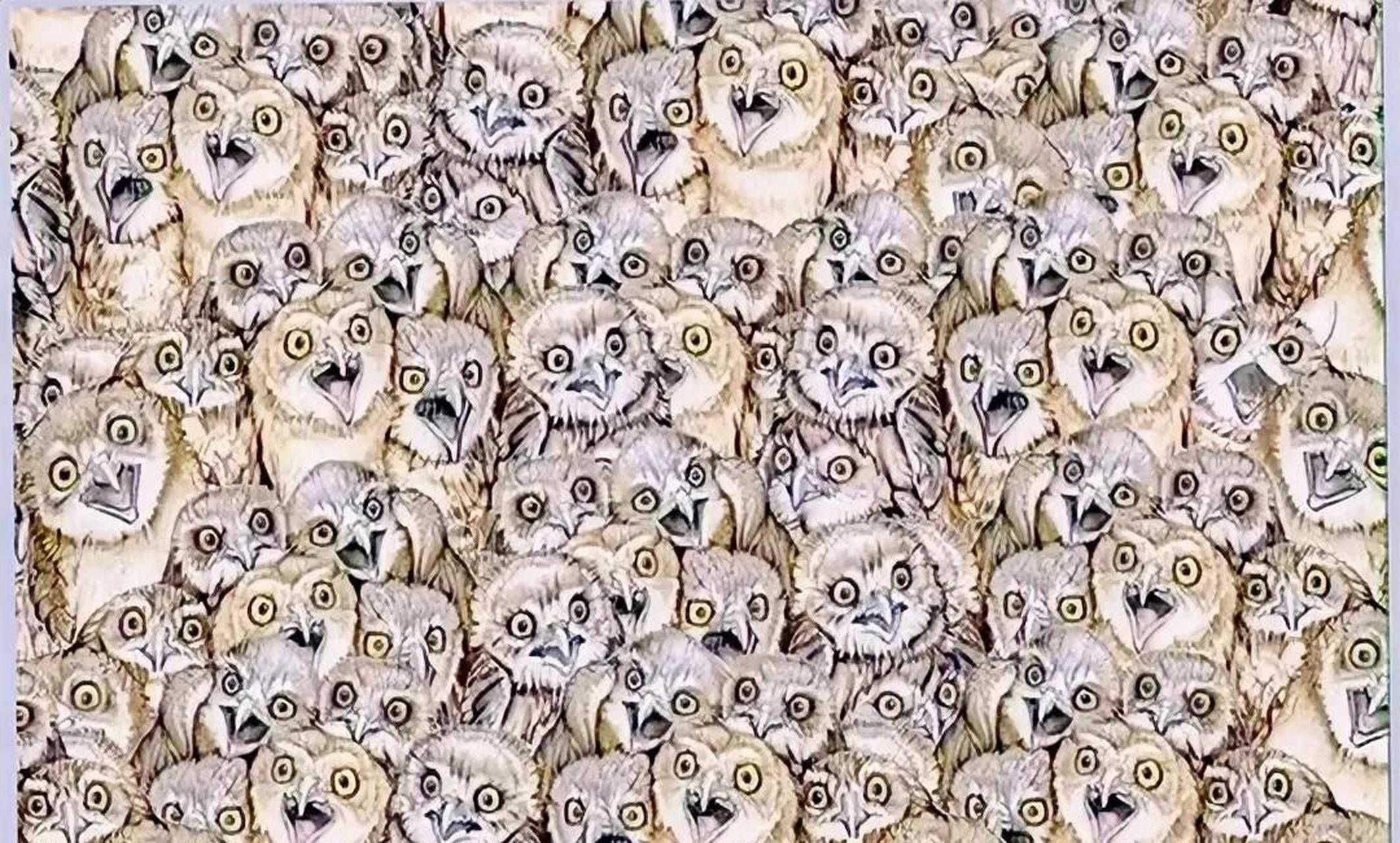 阿尔兹海默症测试,不限时间,你能找到图中的猫咪,证明你的大脑还很