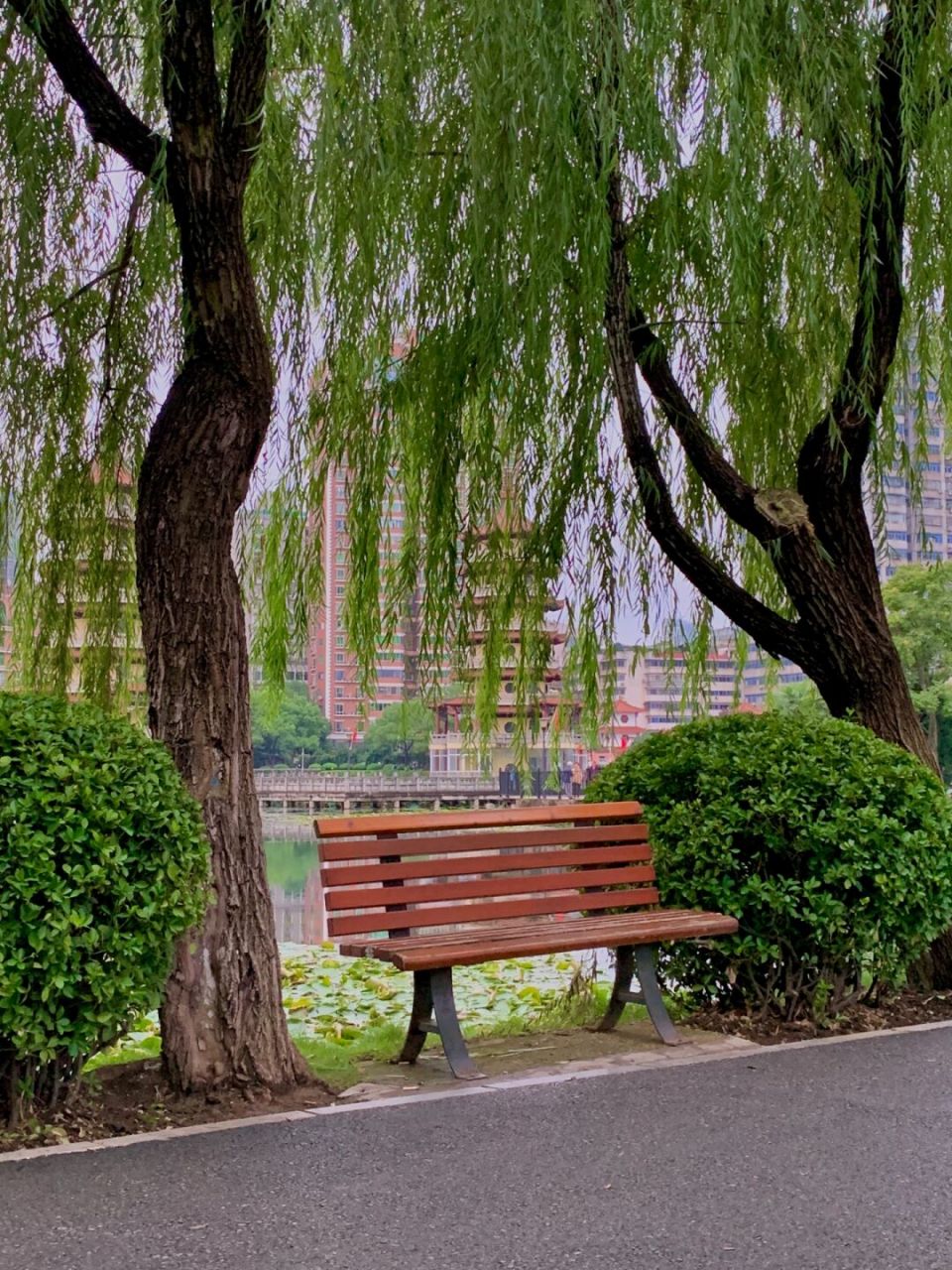 一个人无聊闲逛的十大绝佳去处  哎呀,我特别喜欢宝岛公园,不是因为
