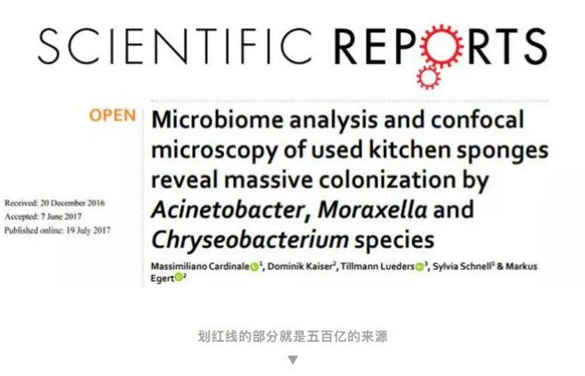 德国吉森大学和慕尼黑赫尔姆茨研究所的一项联合研究显示,洗碗布上