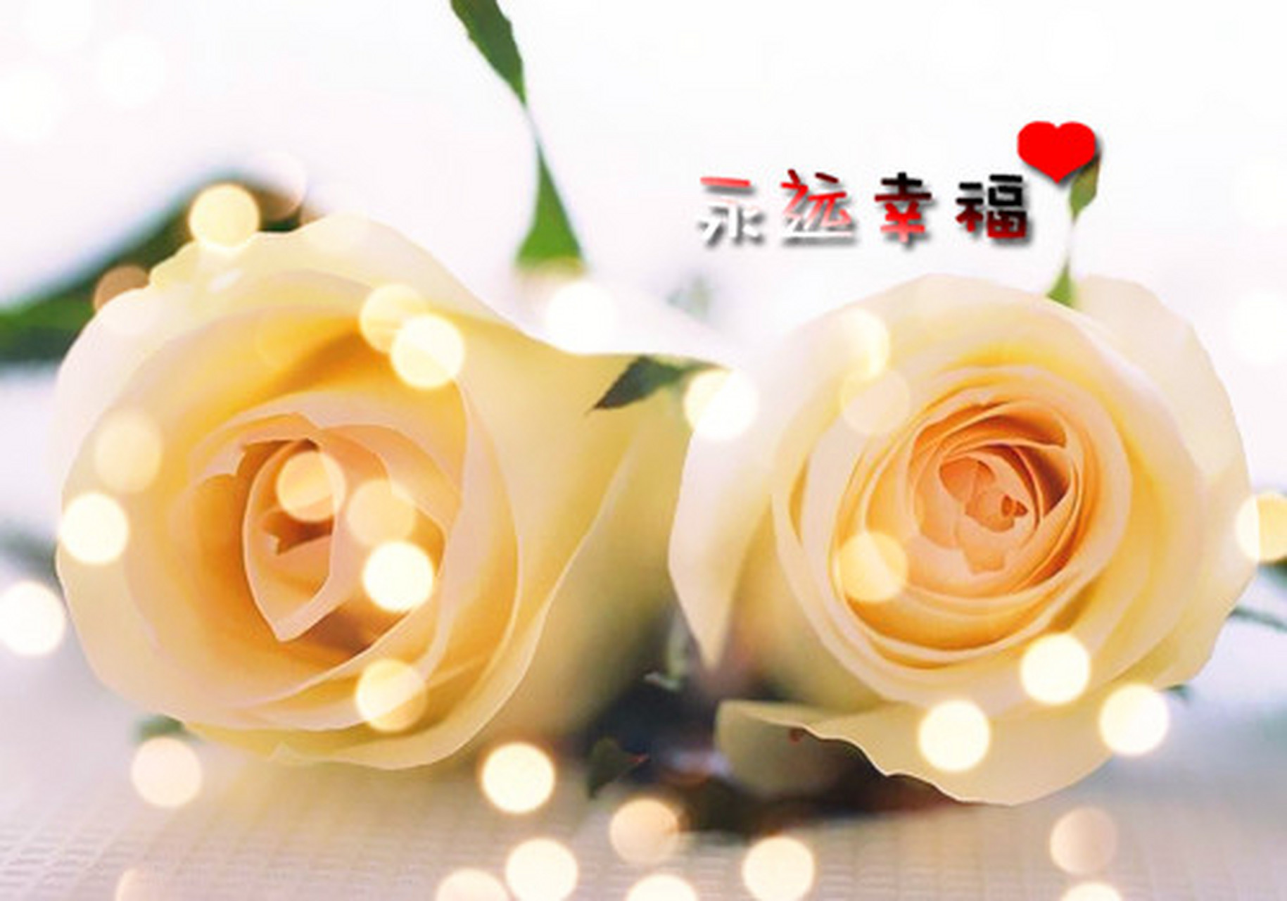 玫瑰唯美图片,这代表你们爱情的甜蜜和幸福.#2021你好