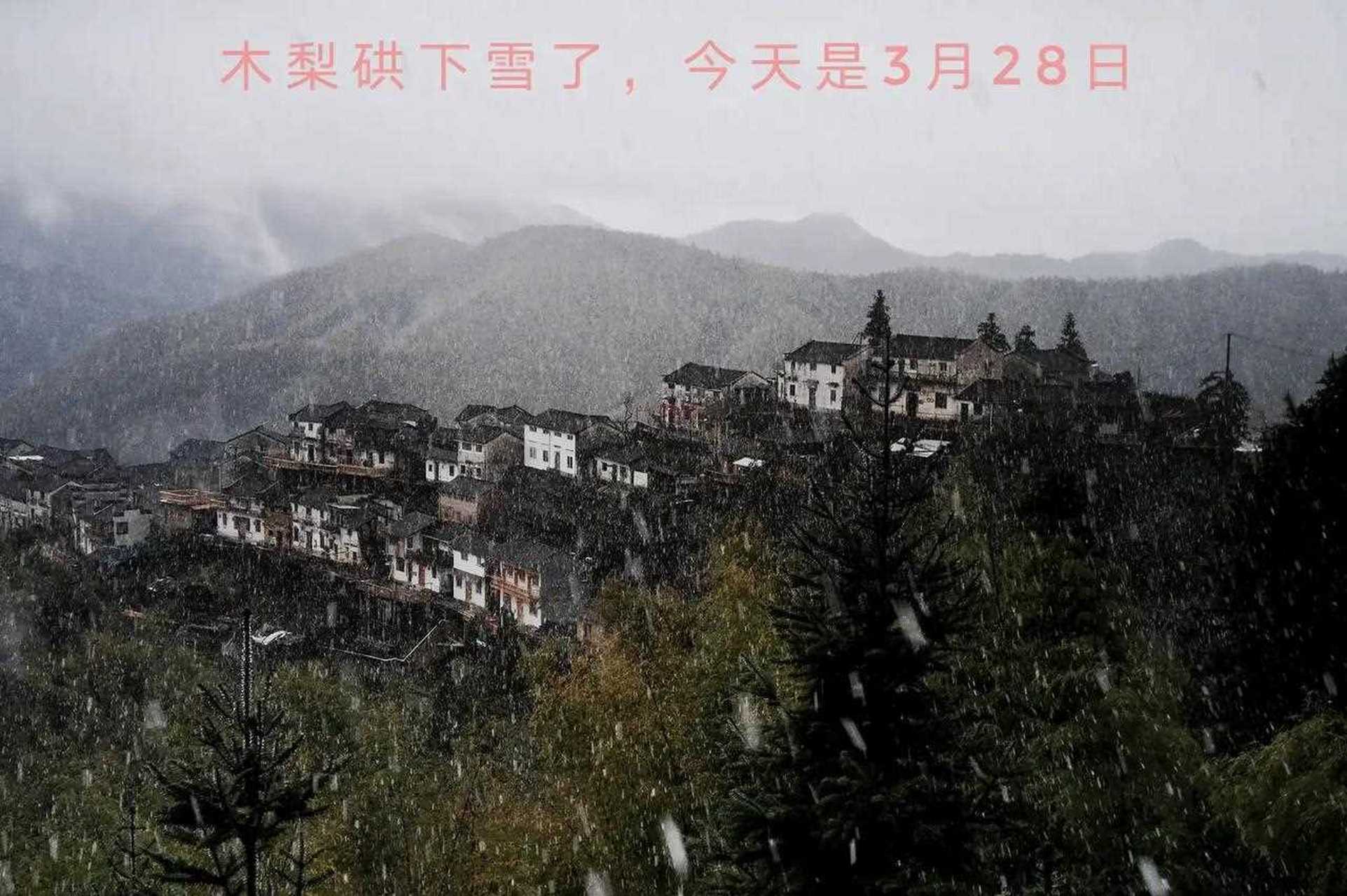 28日,在安徽休宁县木梨硔村遇见了雪…一场雪?