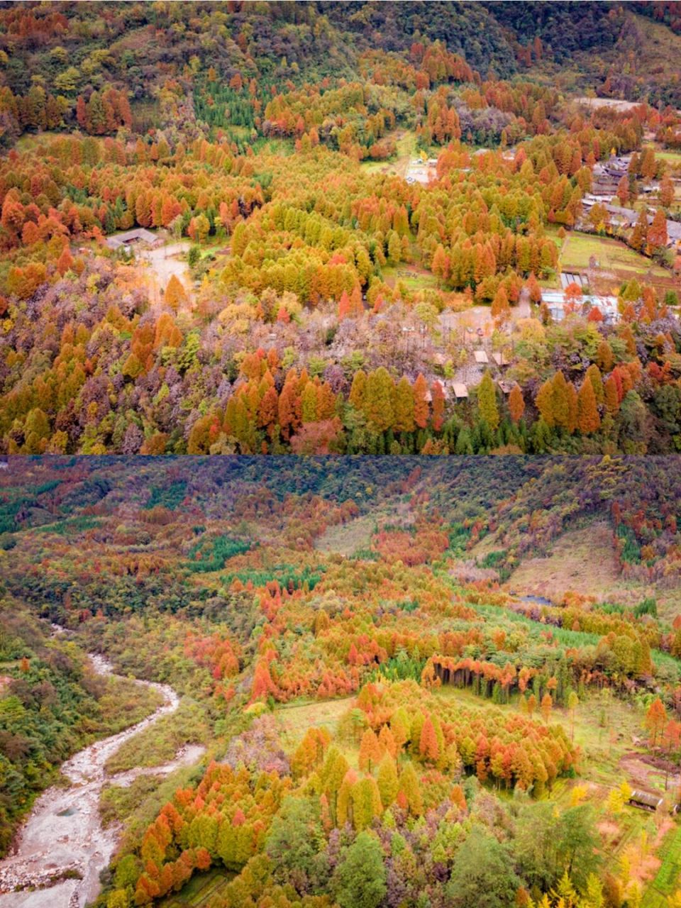 崇州琉璃坝,红叶彩林  琉璃坝,位于崇州市鸡冠山脚下,距离成都市区仅
