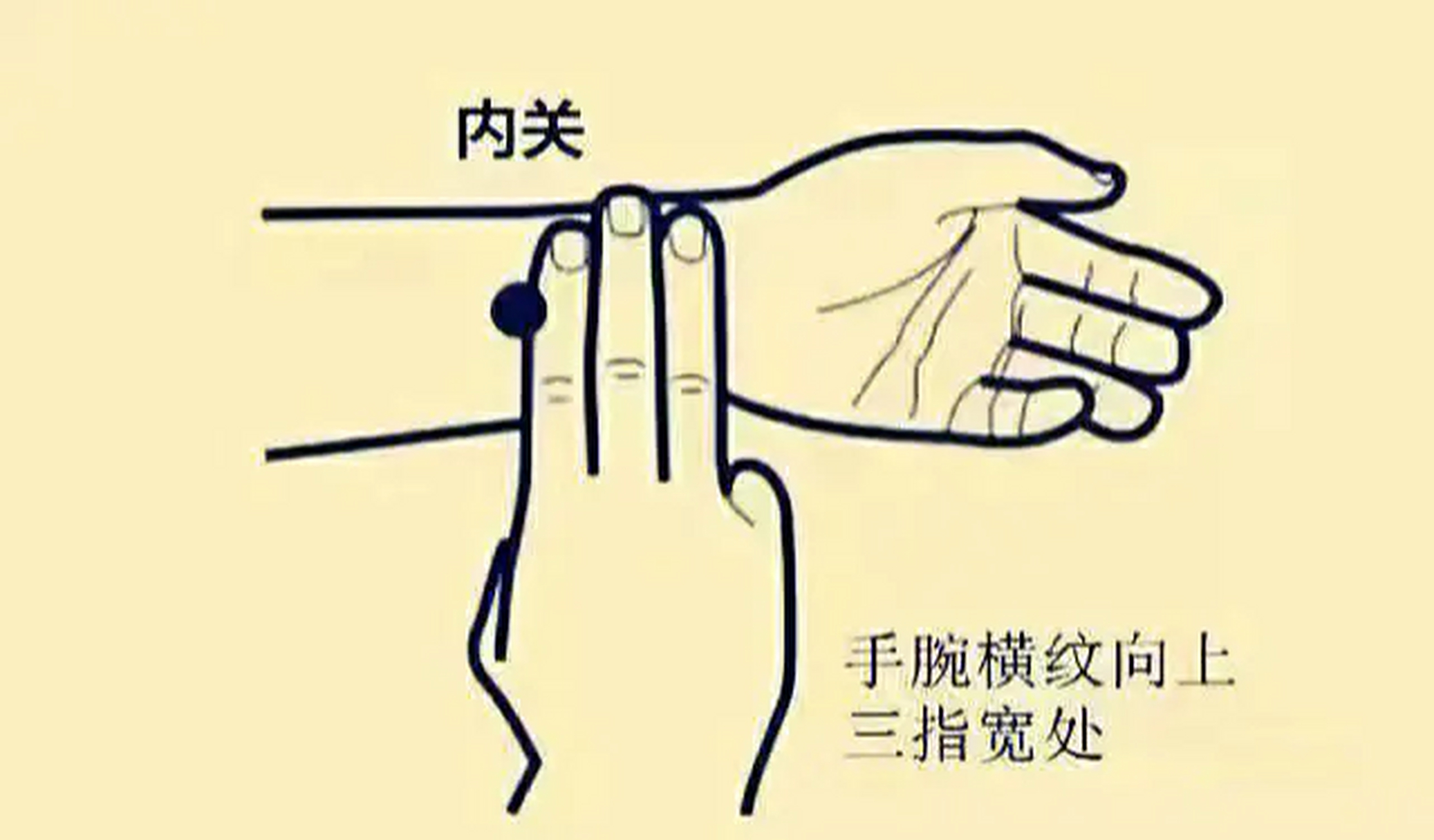 大脑不灵活迟钝两个穴位改善脑供血不足,每天只需要五分钟  脑供血不