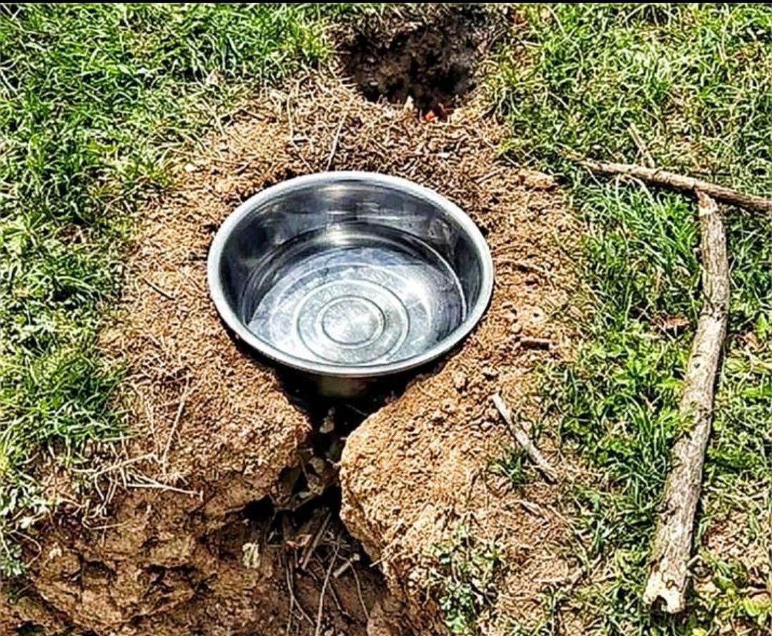 标准的单兵野战无烟灶