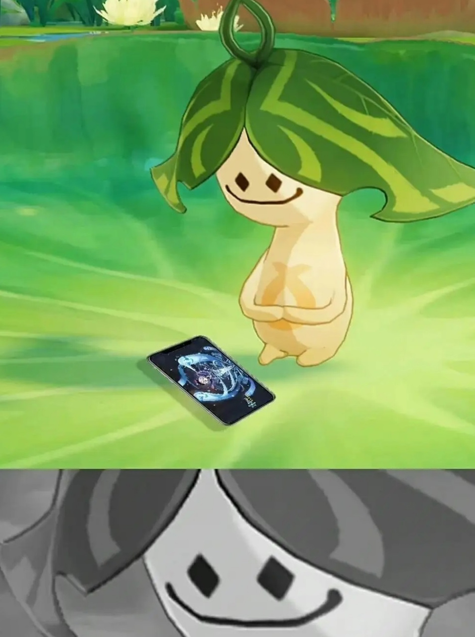 今天又是歪七七的一天