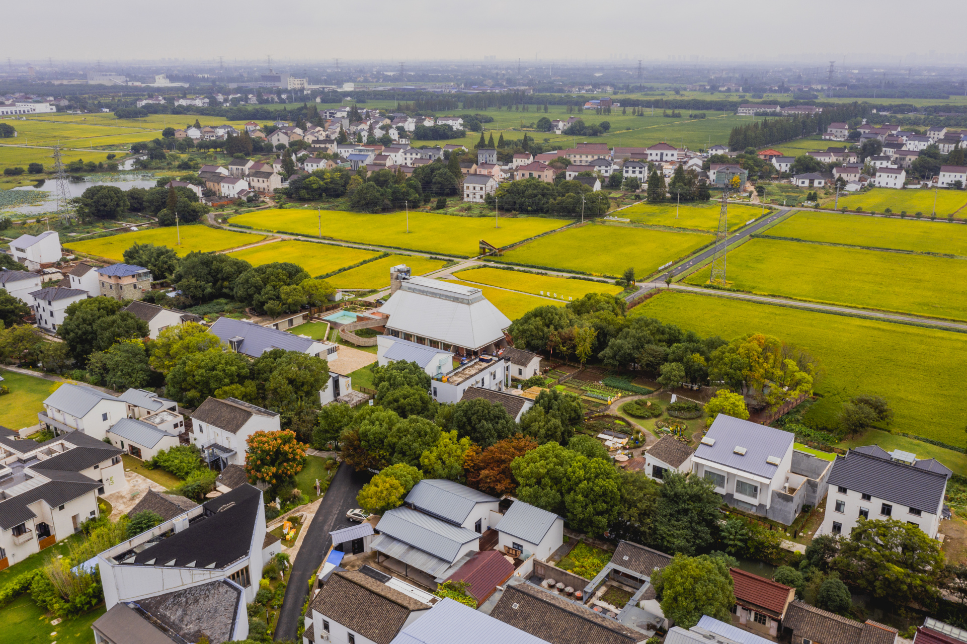 平望·长漾里——这就是秋天的色彩 平望·长漾里位于平望庙头村,东有