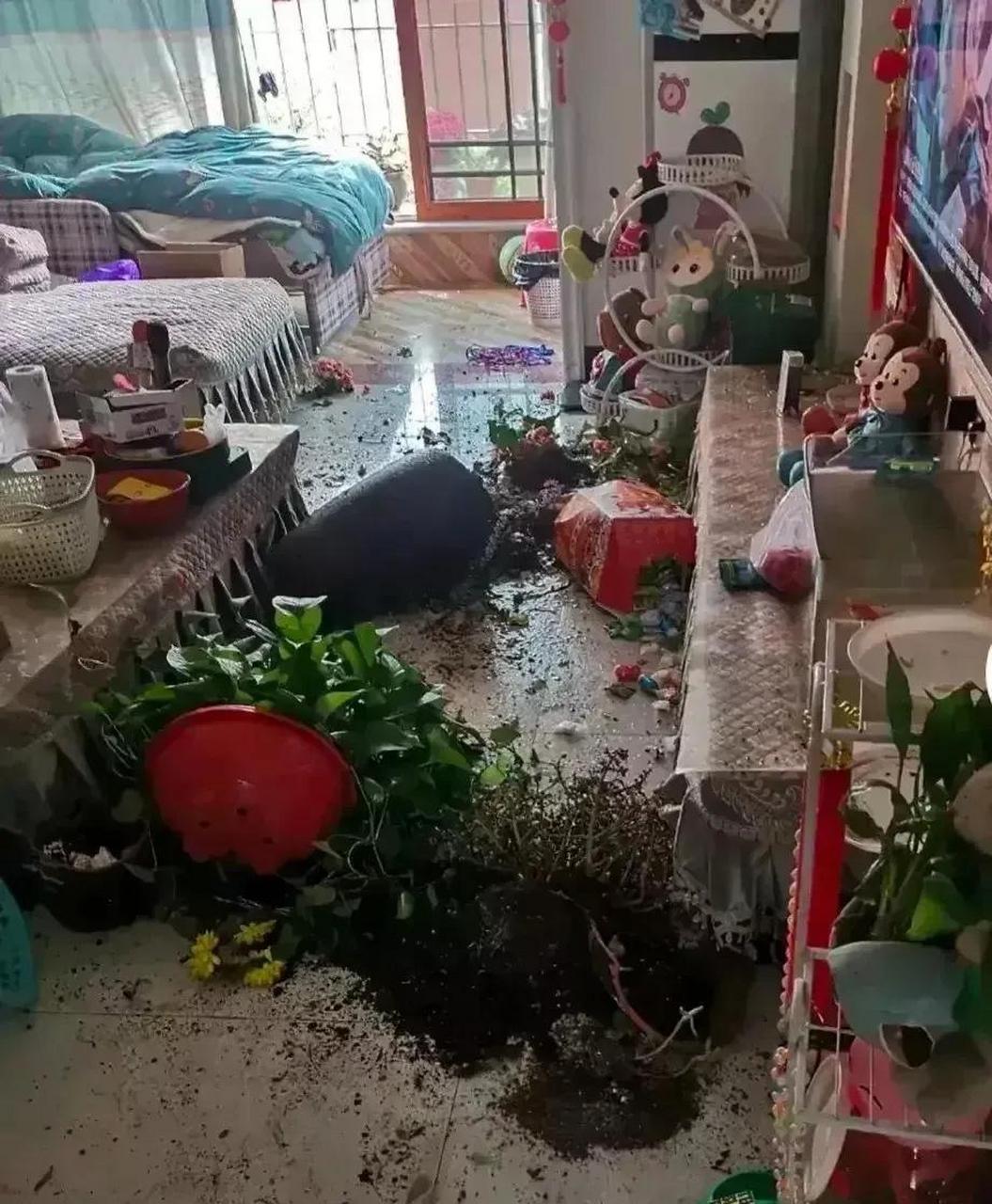 吵架动手摔东西的家庭真的好悲哀. #搞笑趣味图