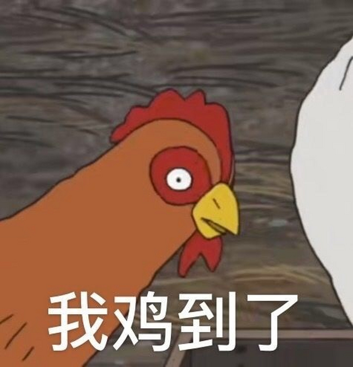 一组你鸡道吗 表情包