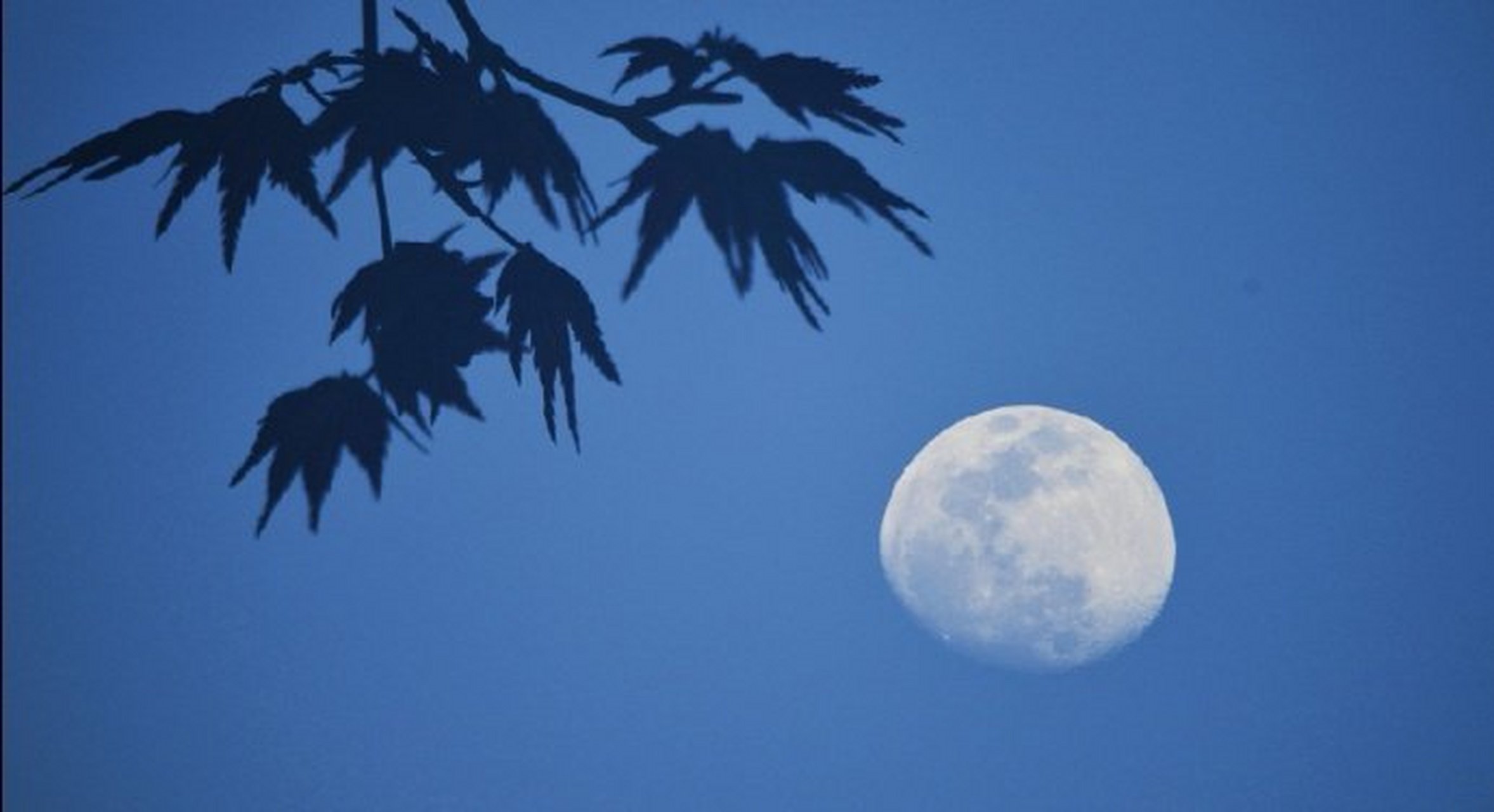 帘幕外,月华如水