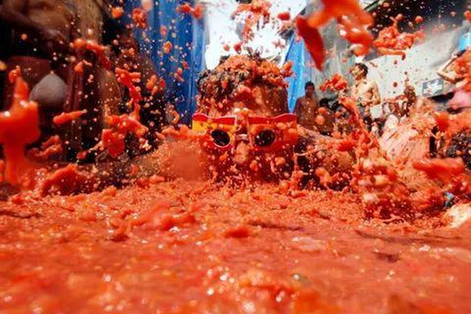 与西班牙"奔牛节"齐名的是西班牙西红柿节(番茄节),起始于1945年,在